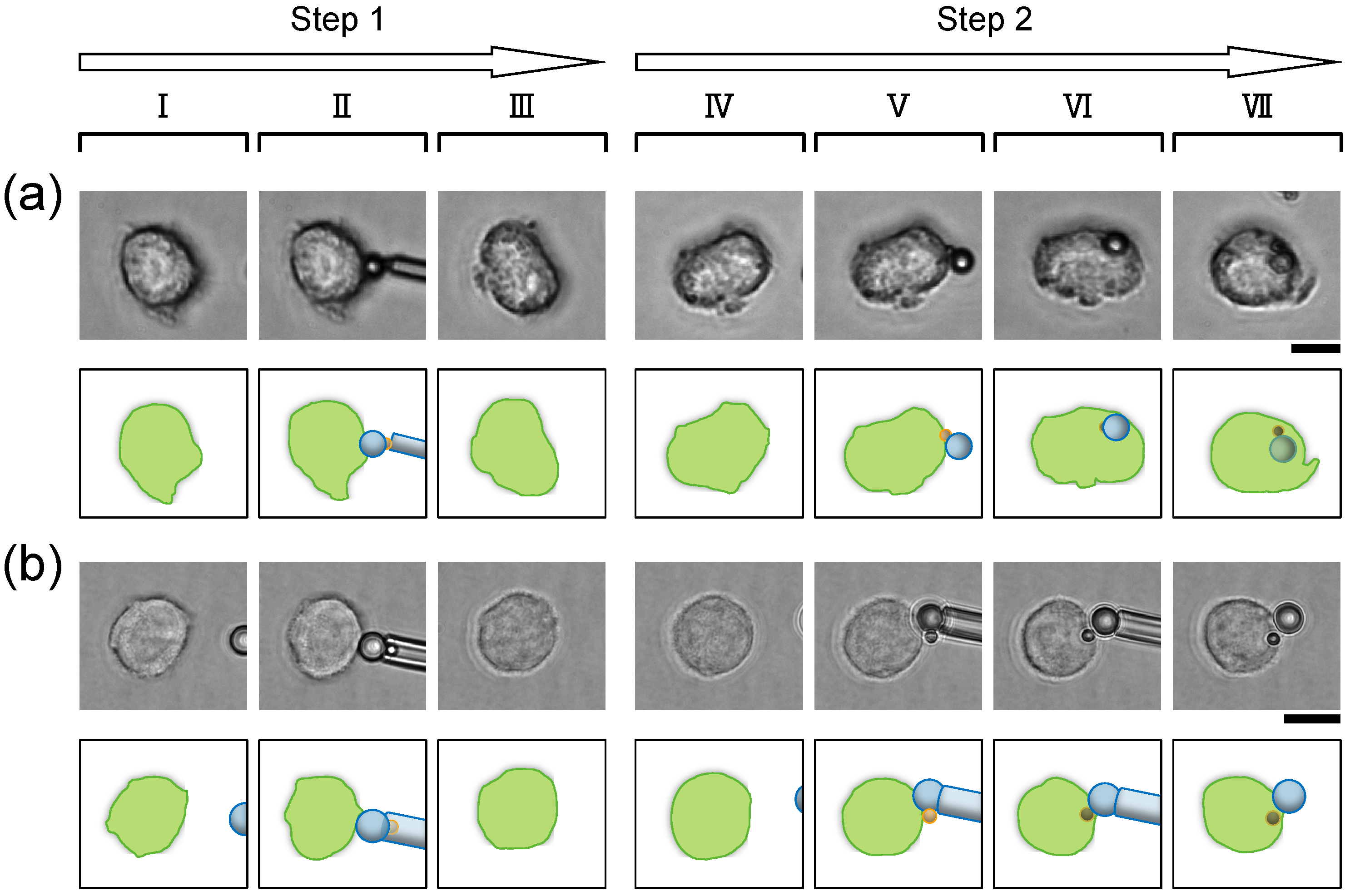 Micromachines 15 01394 g004
