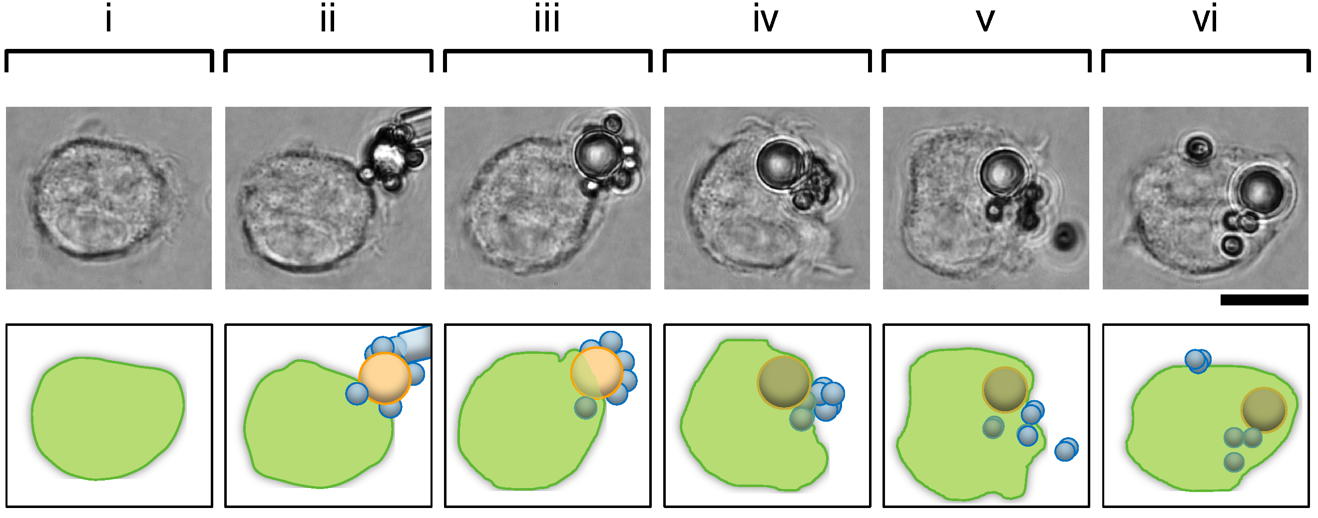 Micromachines 15 01394 g005