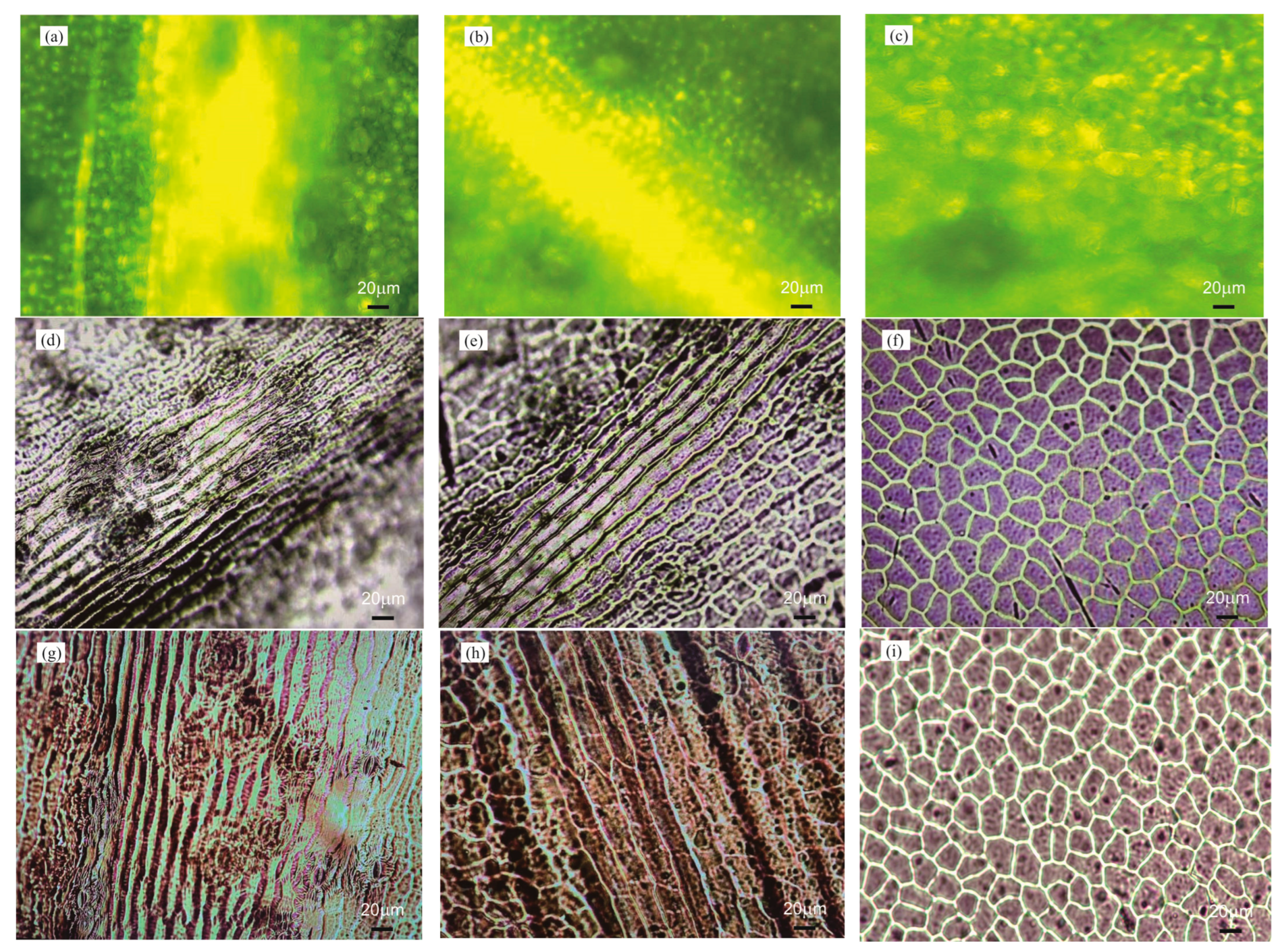 Micromachines 15 01399 g003