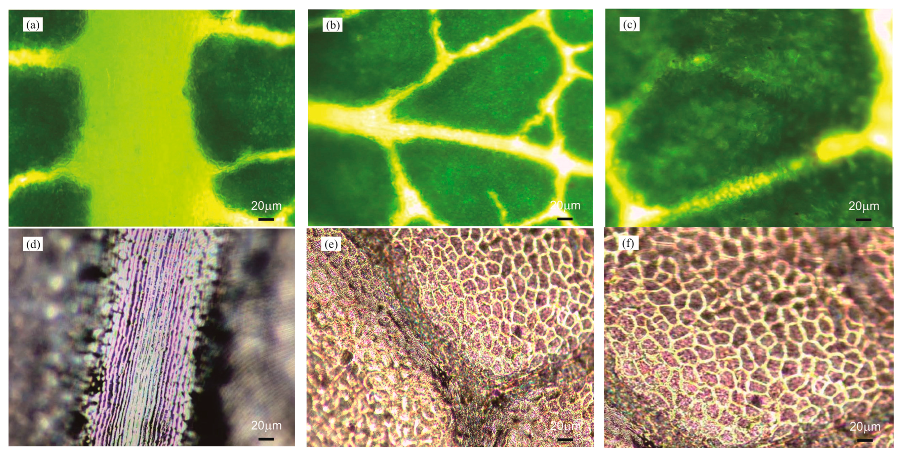 Micromachines 15 01399 g004a
