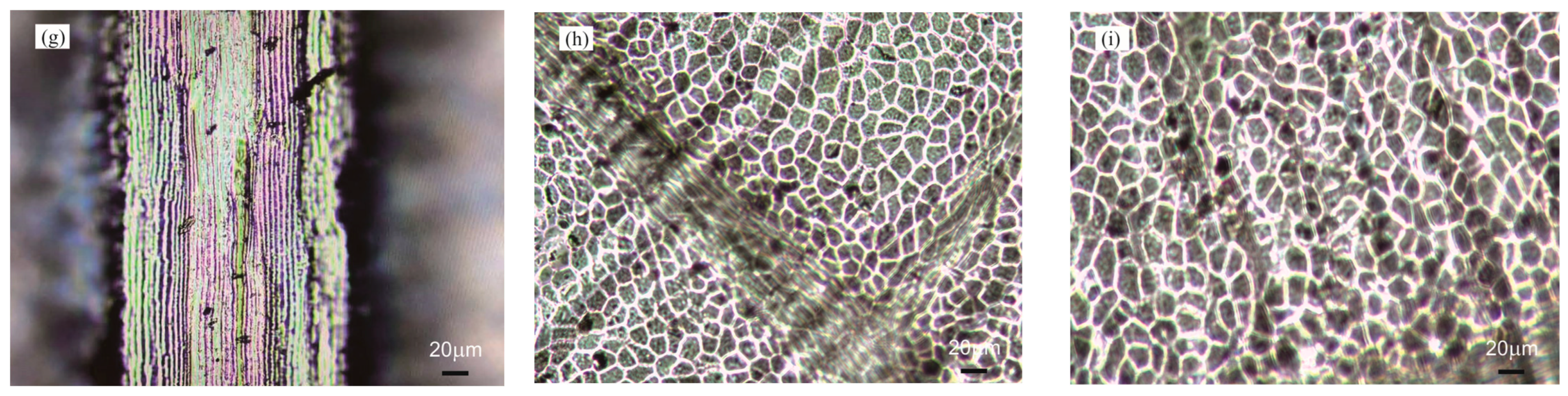 Micromachines 15 01399 g004b