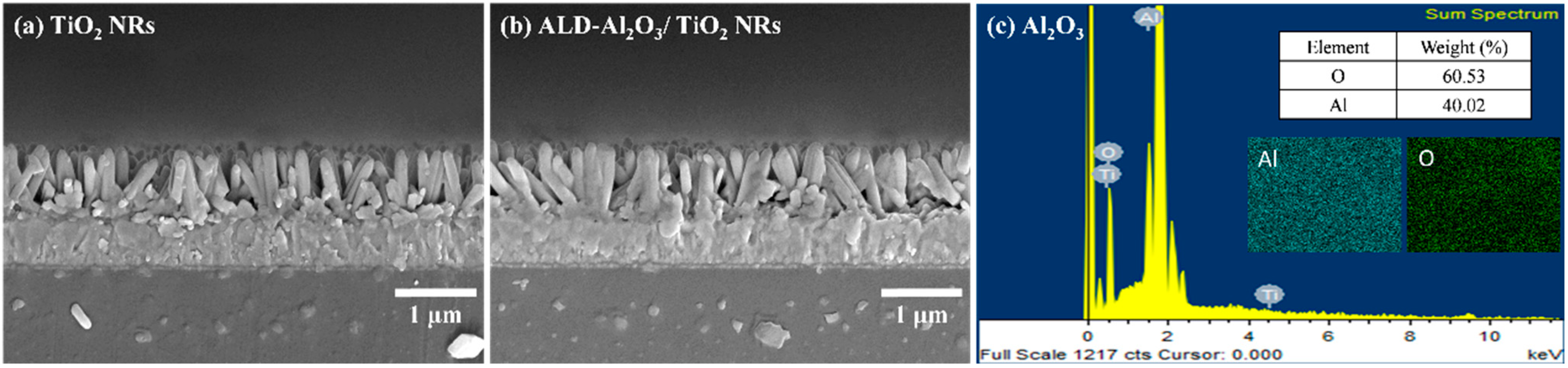 Micromachines 15 01402 g003