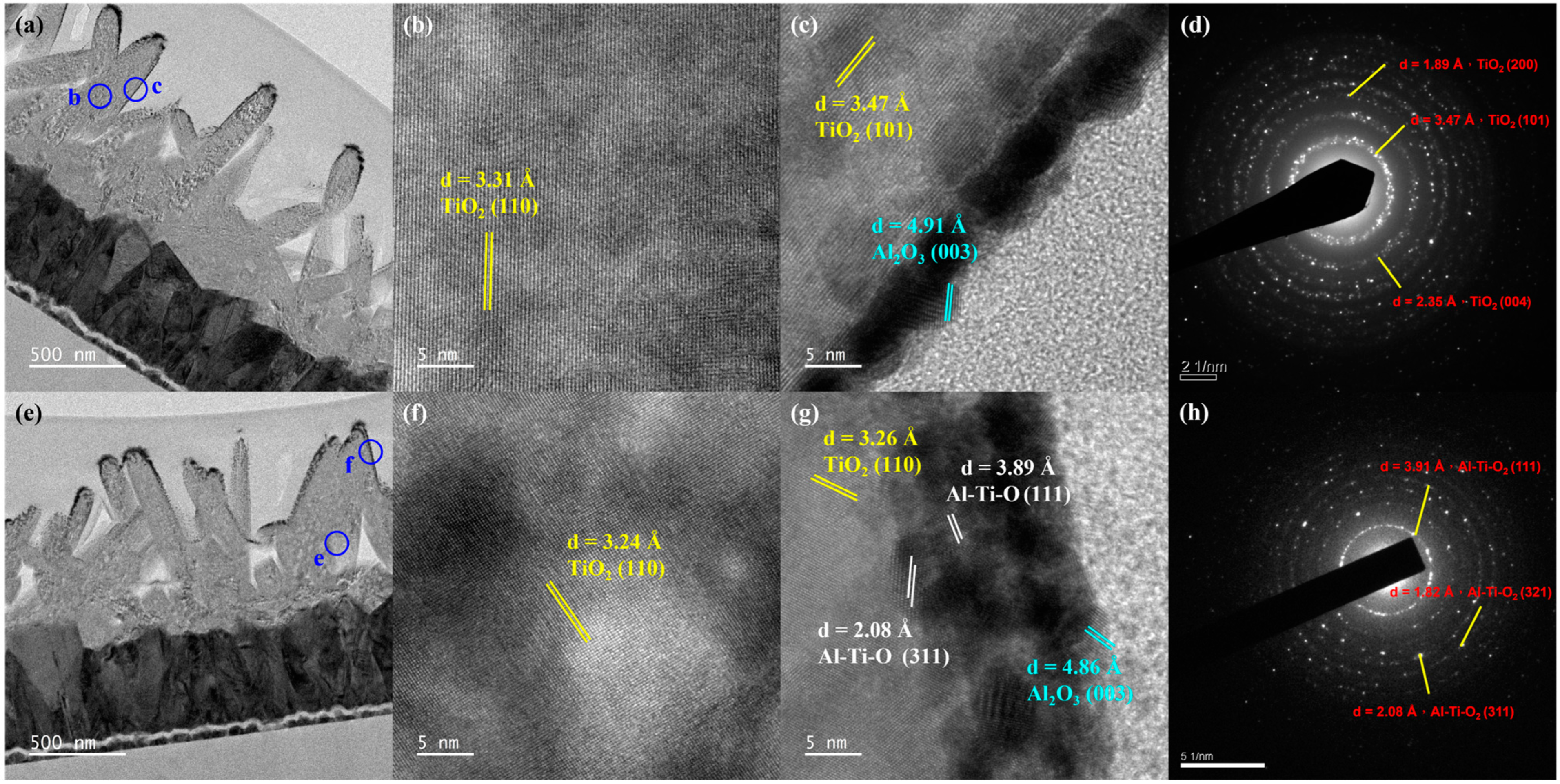 Micromachines 15 01402 g004
