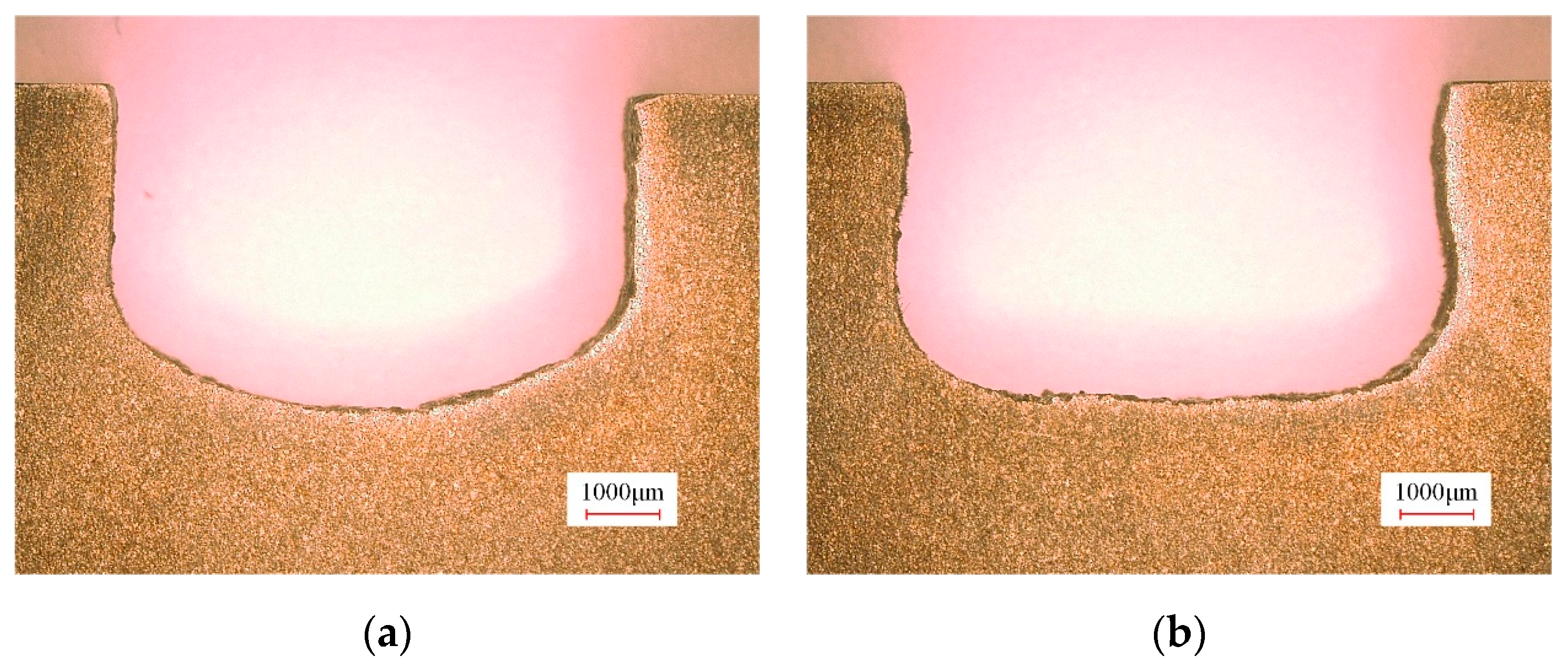 Micromachines 15 01410 g007