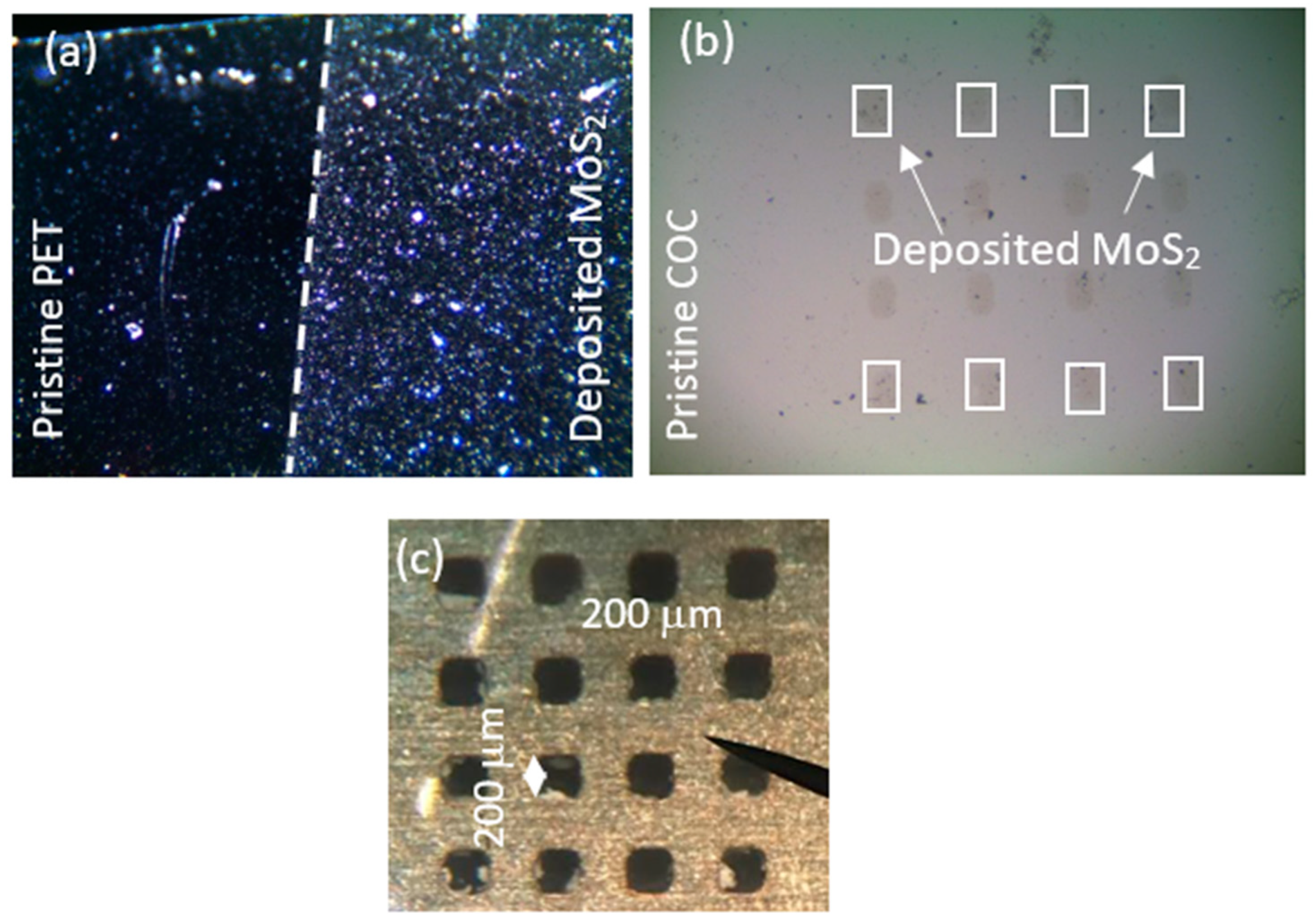 Micromachines 15 01425 g003