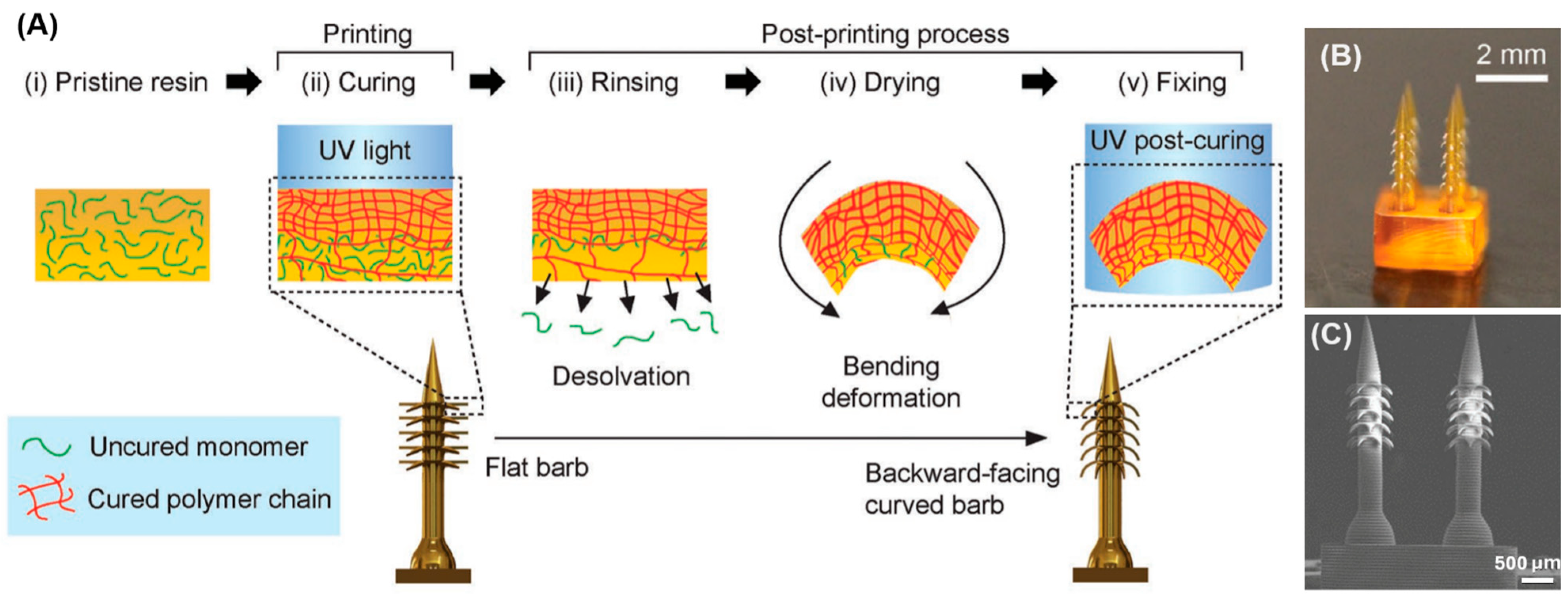 Micromachines 15 01433 g004