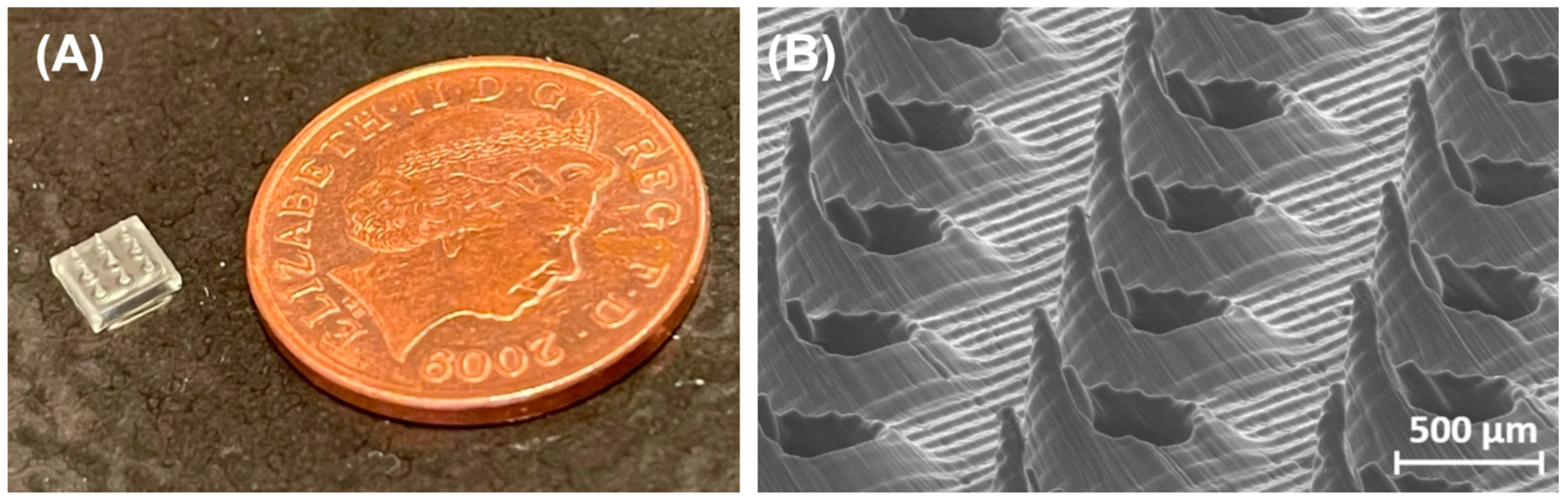 Micromachines 15 01433 g006