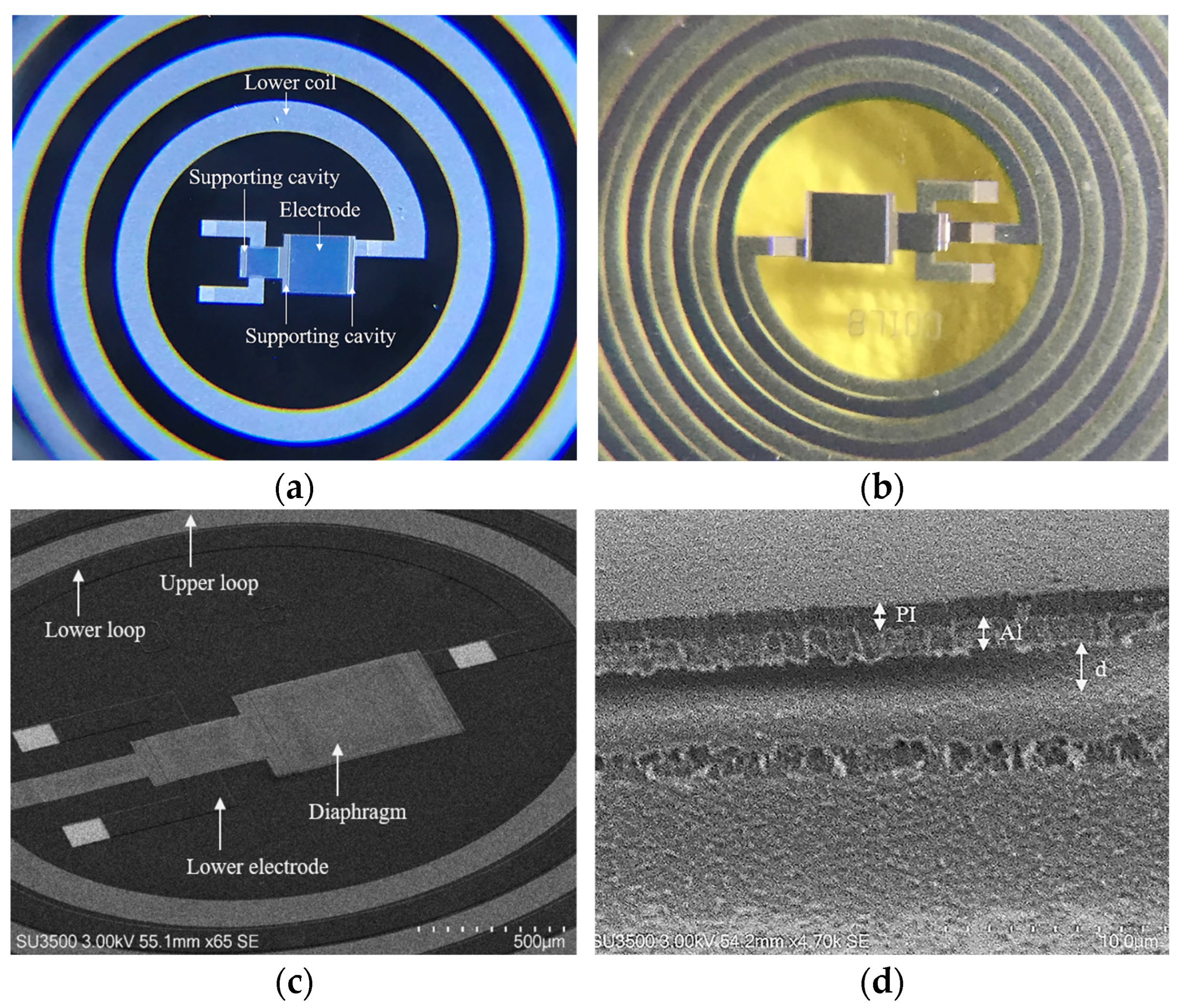 Micromachines 15 01435 g006
