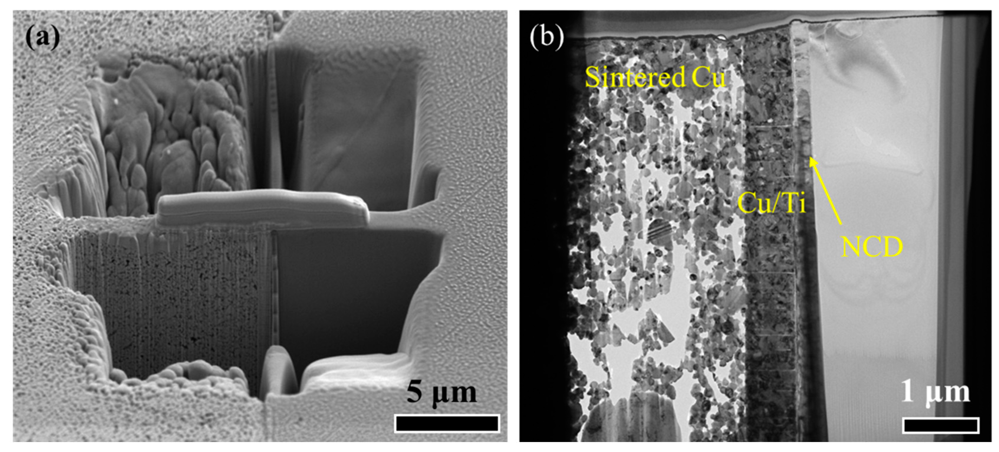 Micromachines 15 01436 g006