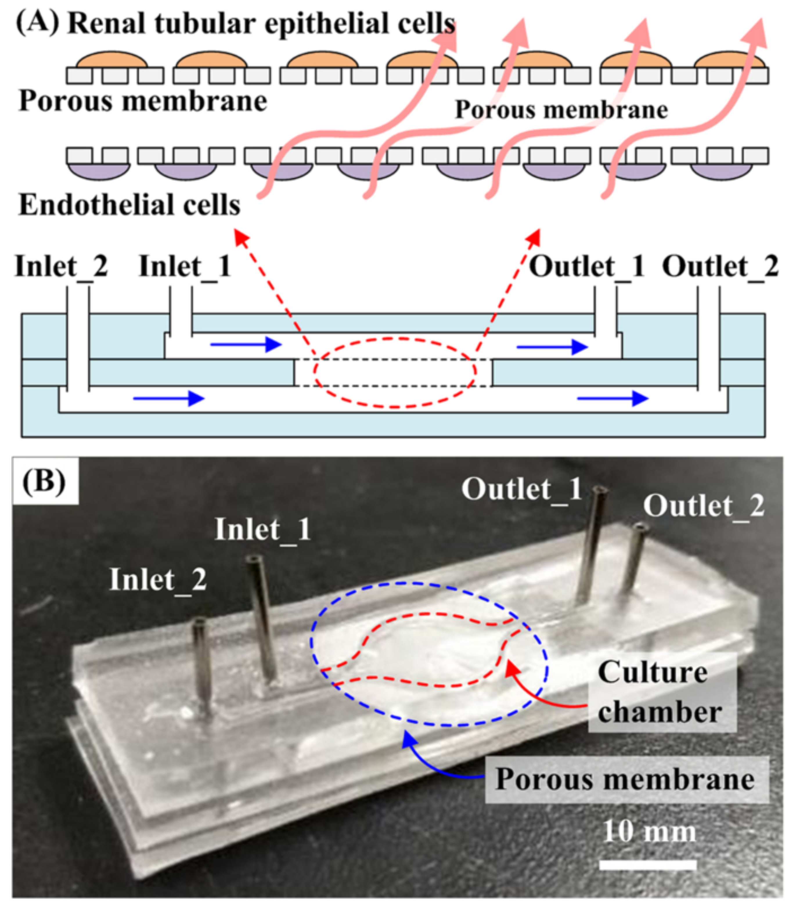 Micromachines 15 01444 g002 Micromachines 15 01444 g002