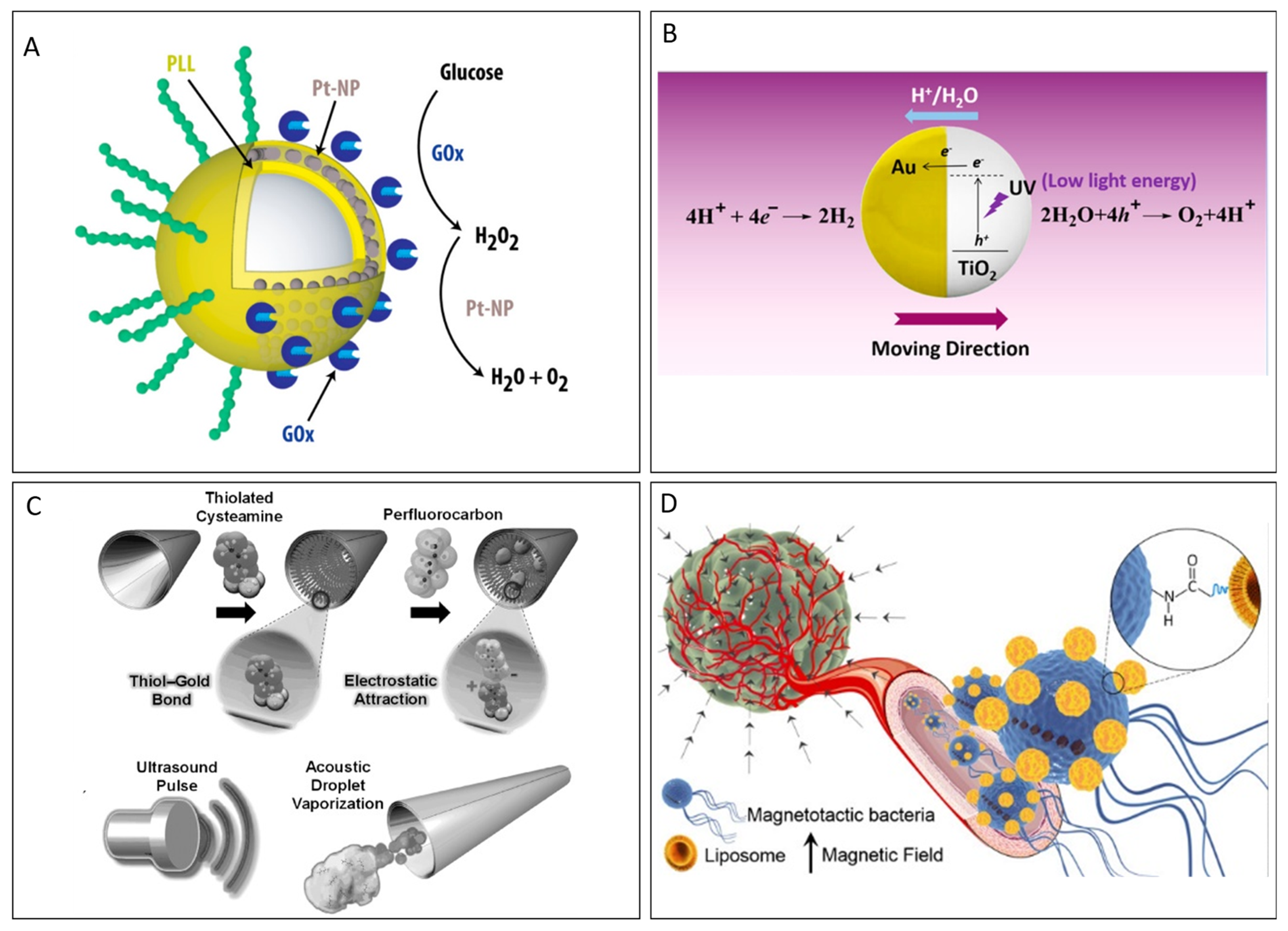 Micromachines 15 01454 g003