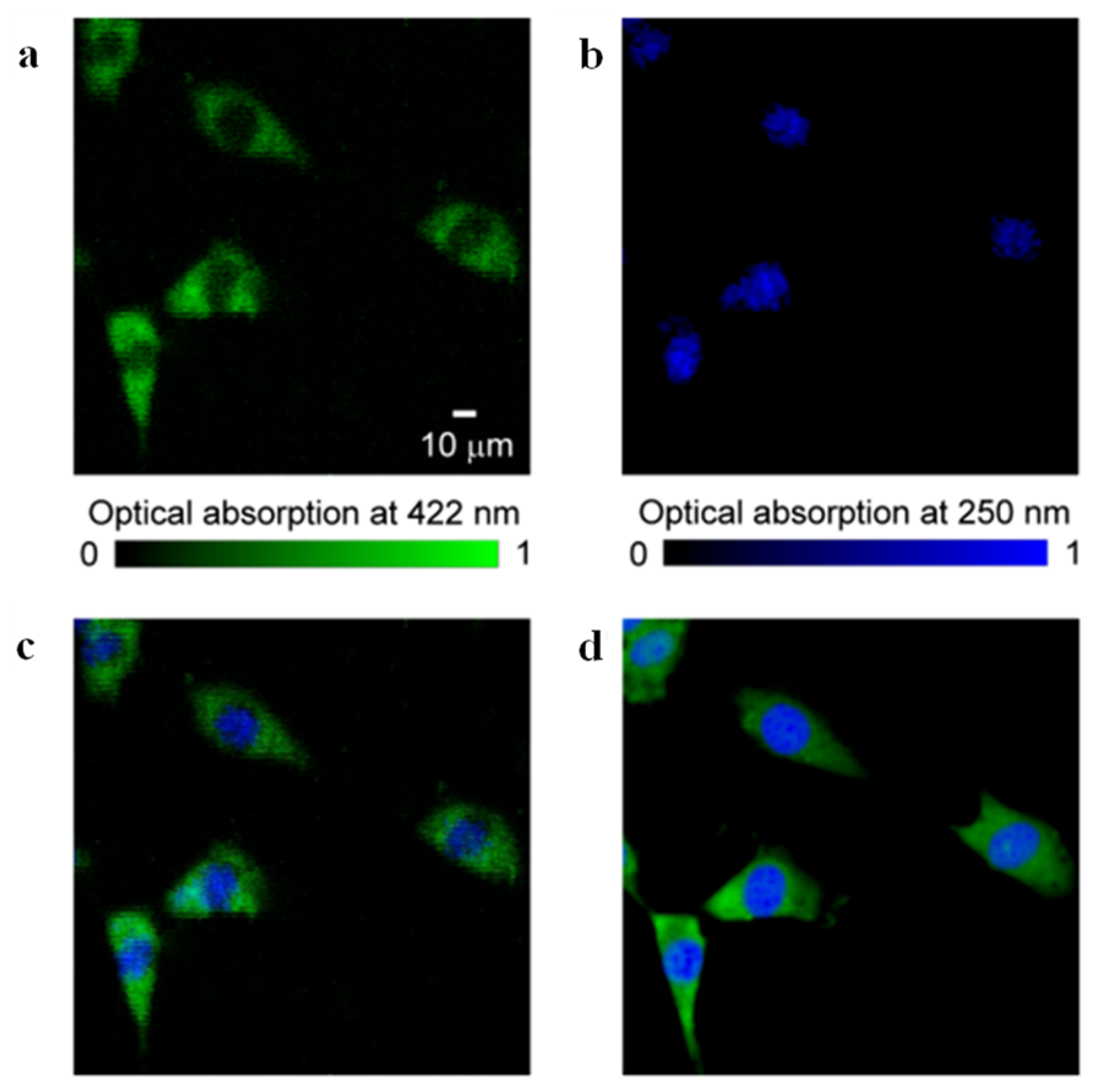 Micromachines 15 01463 g012