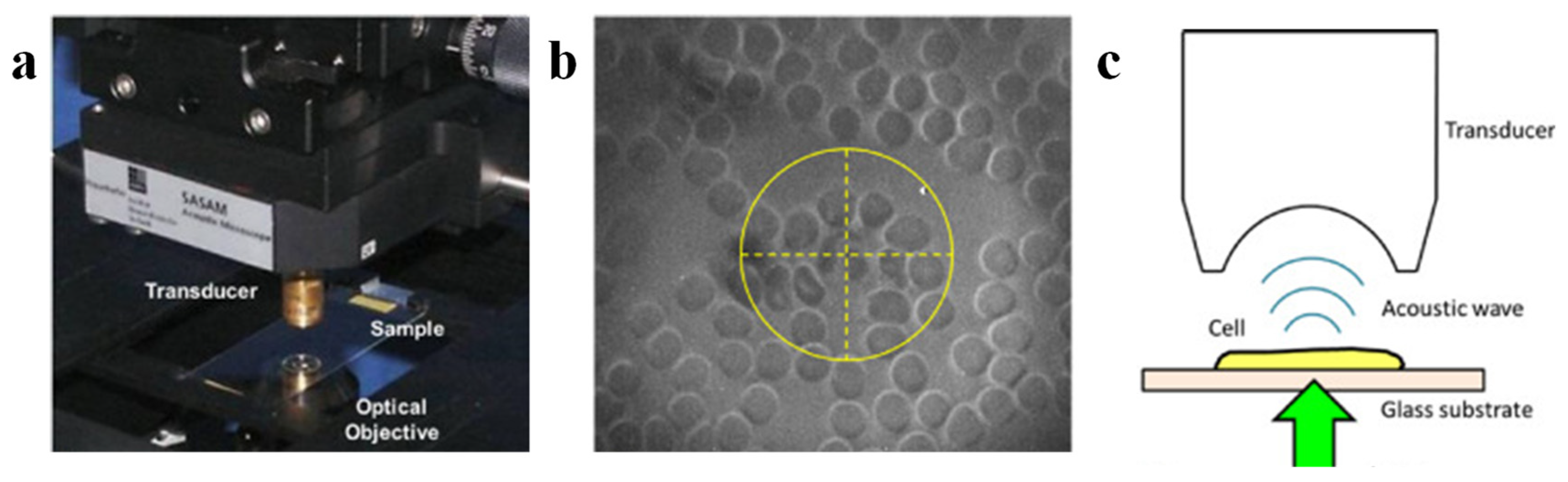 Micromachines 15 01463 g014