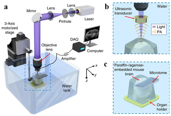 Resolution Enhancement Strategies in Photoacoustic Microscopy: A ...