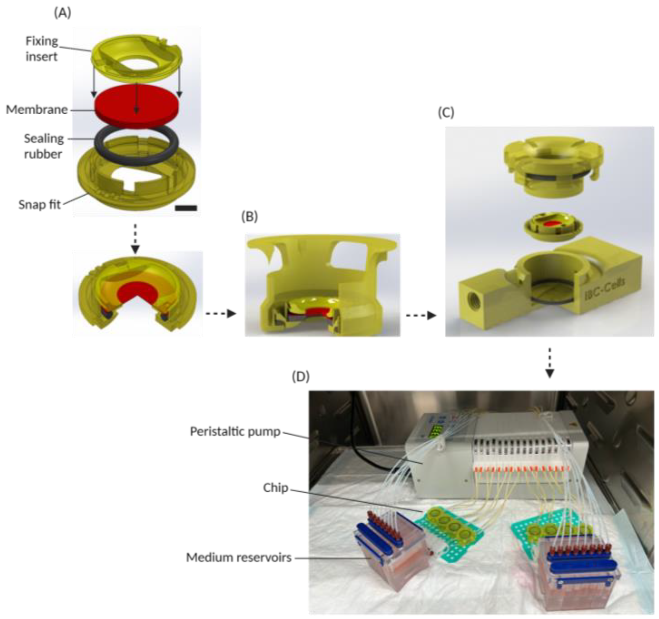 Micromachines 15 01464 g001