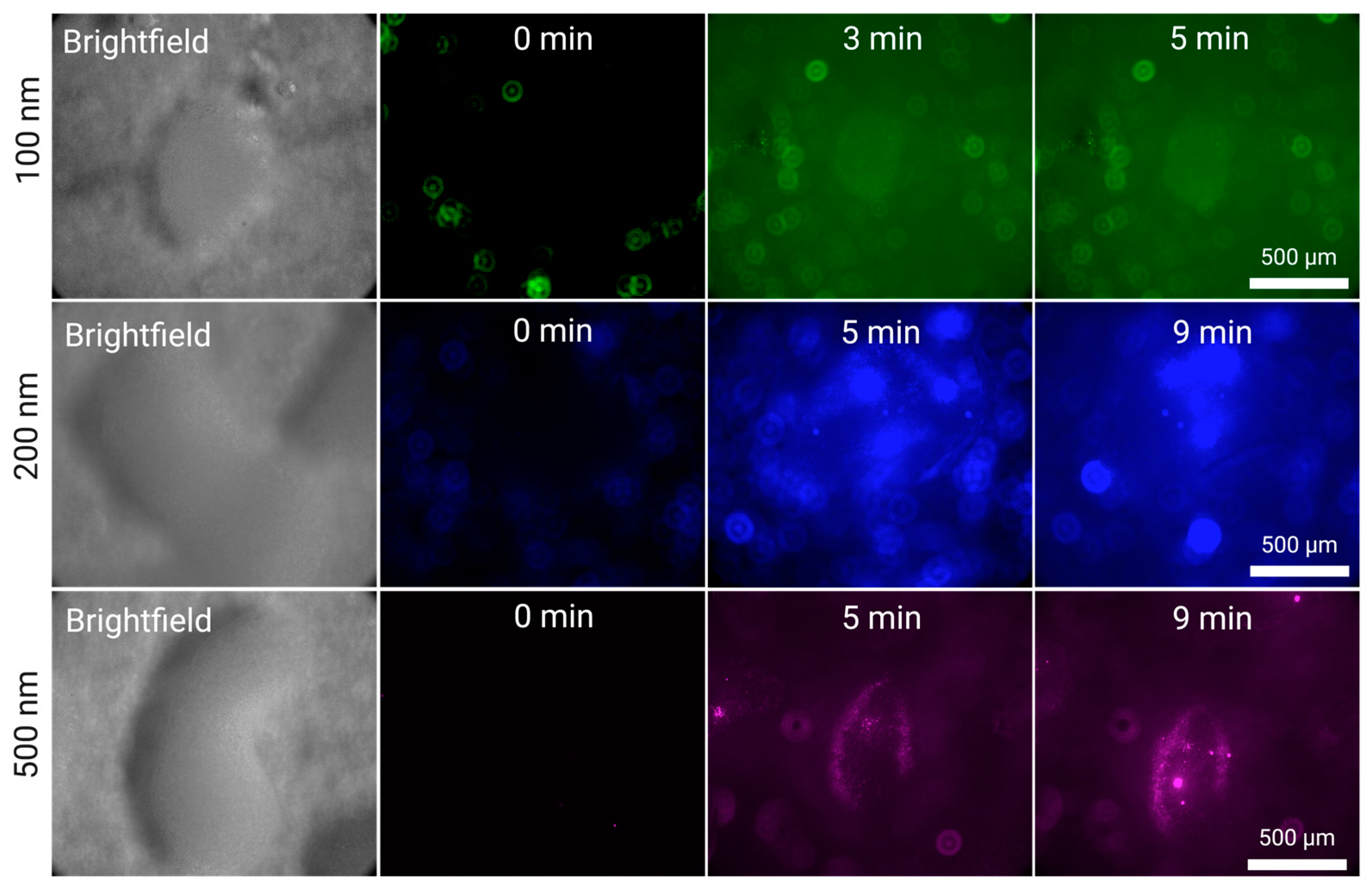 Micromachines 15 01487 g004