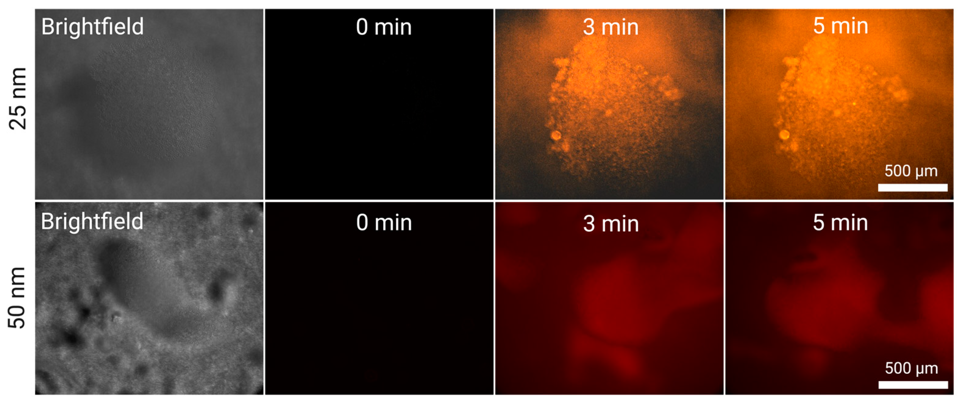 Micromachines 15 01487 g005
