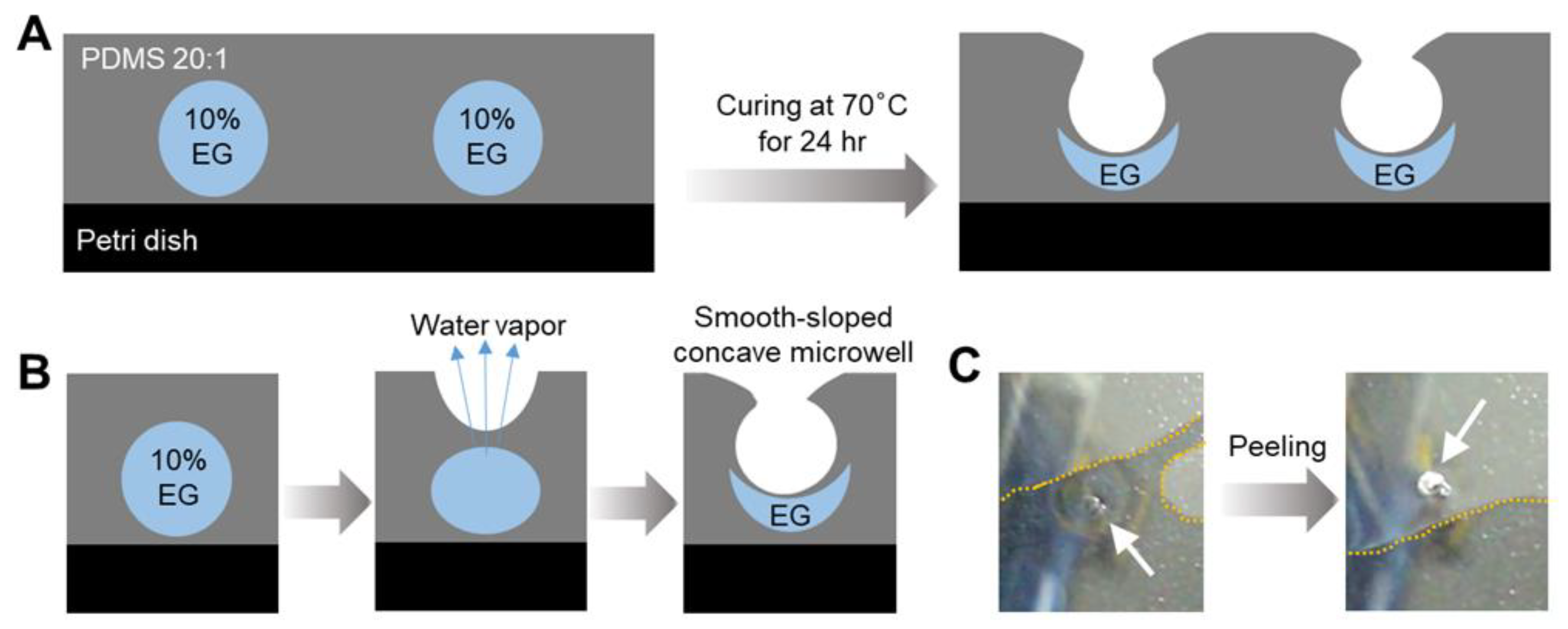 Micromachines 15 01496 g001
