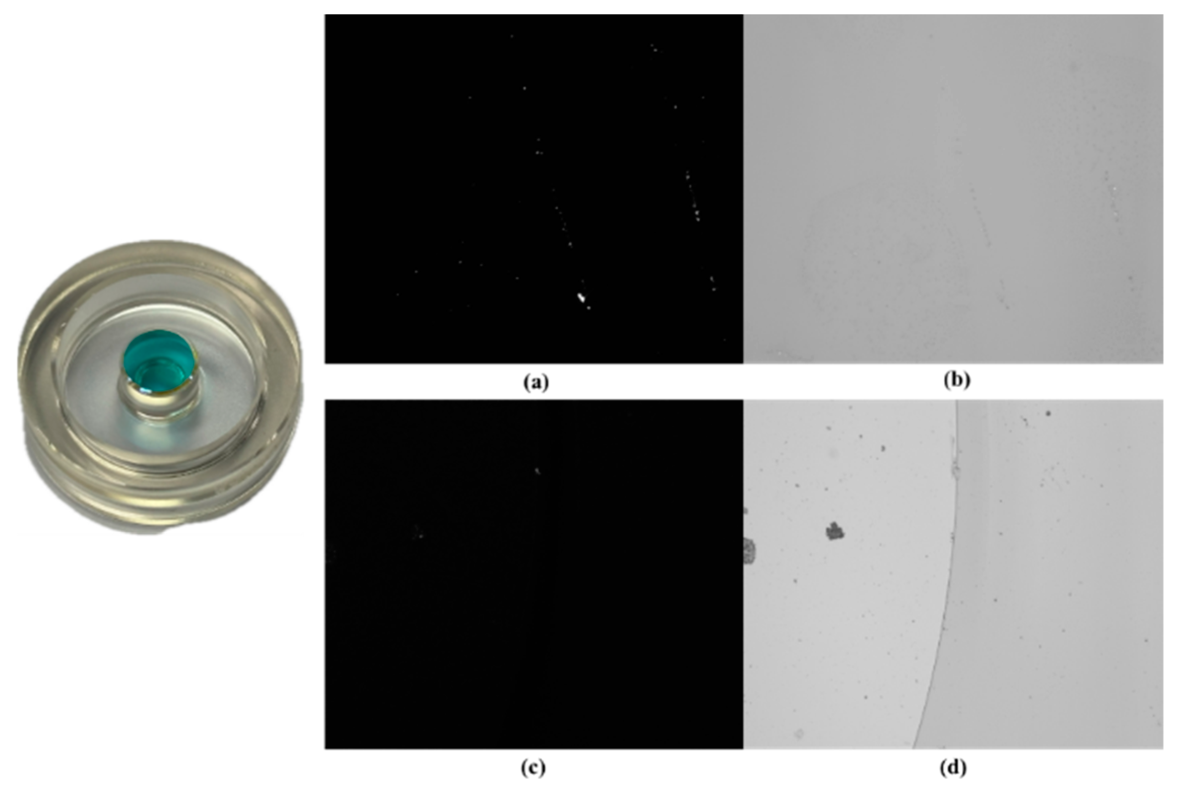 Micromachines 15 01498 g012