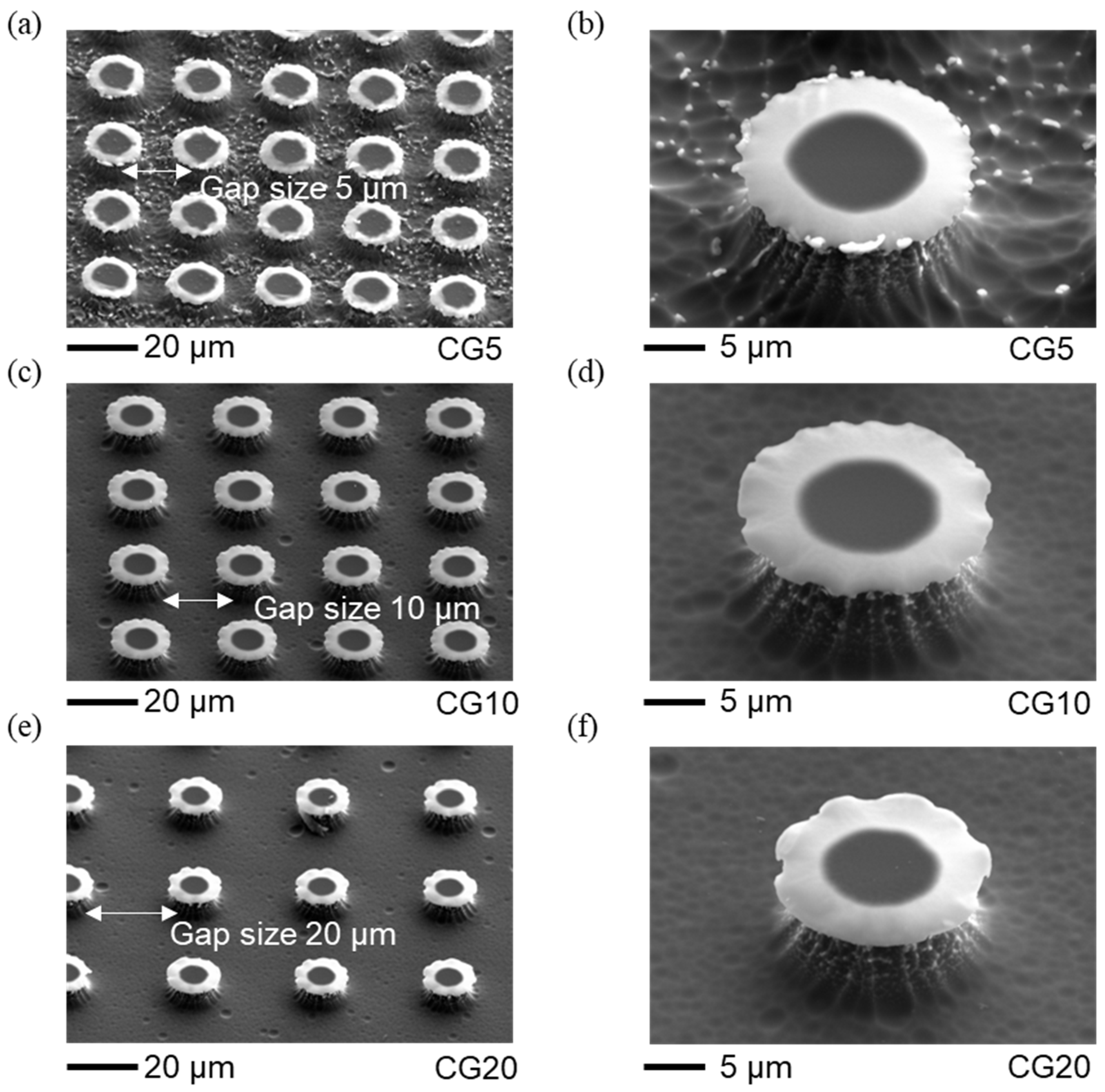 Micromachines 15 01507 g002