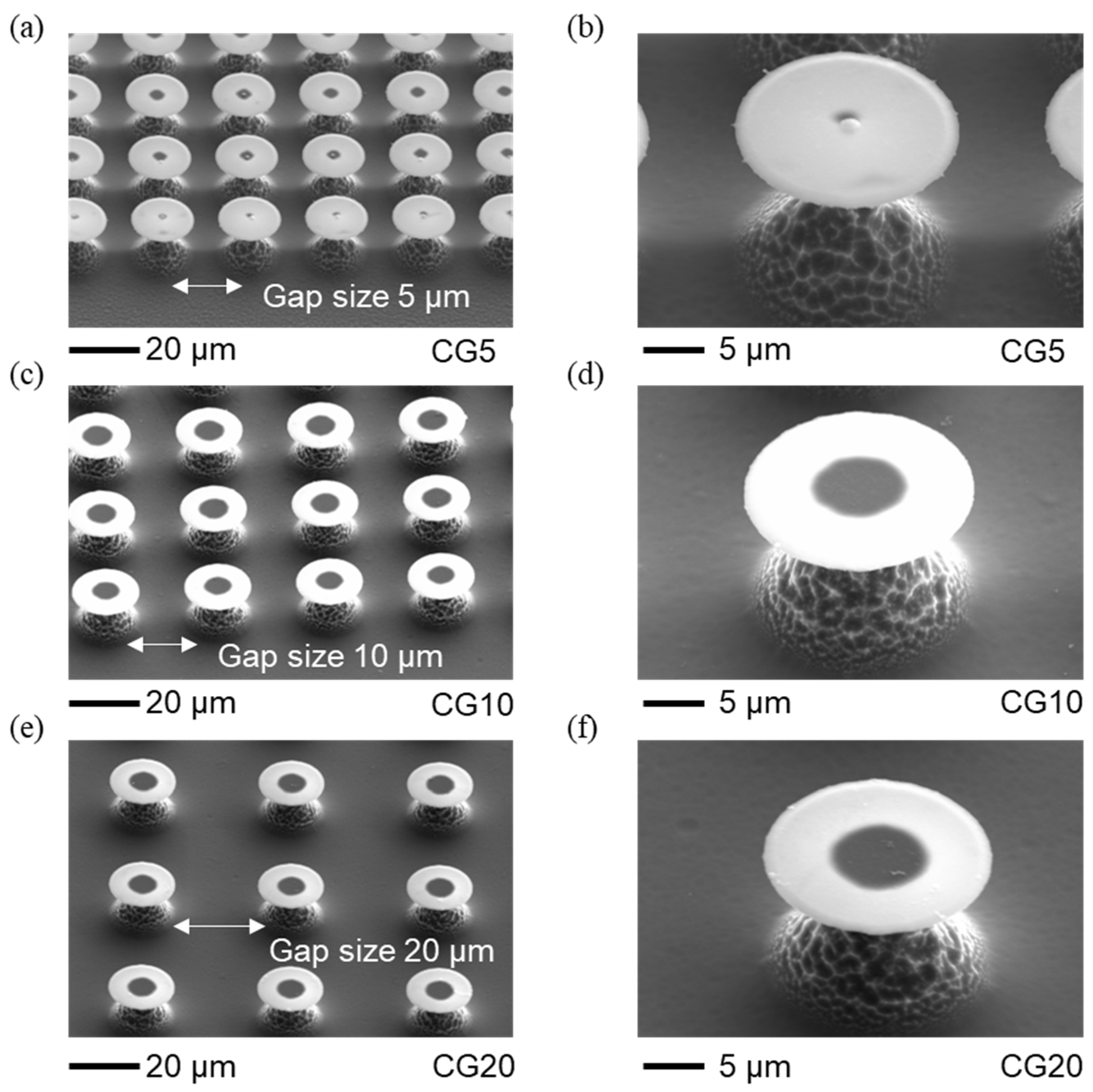 Micromachines 15 01507 g003