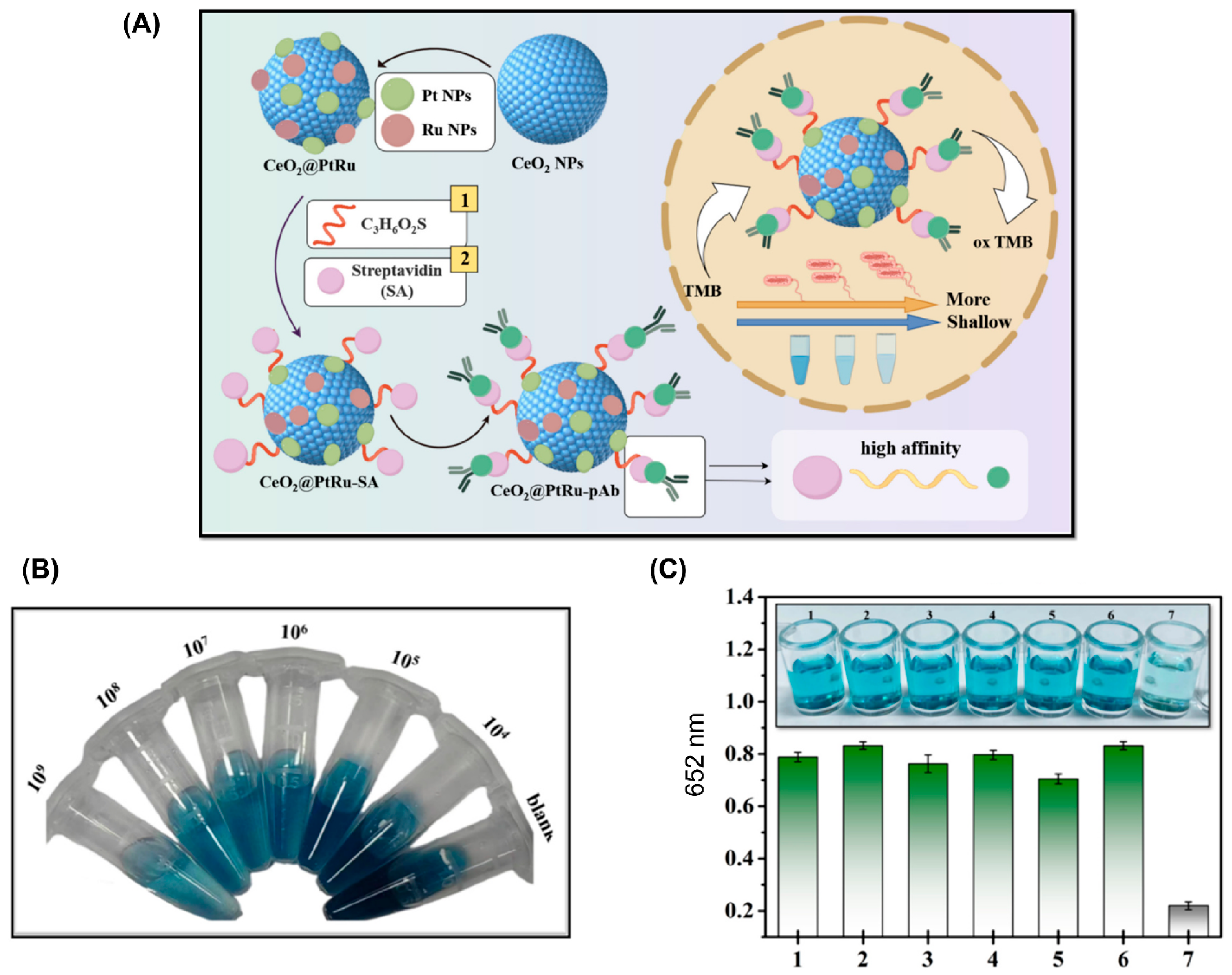 Micromachines 15 01509 g003