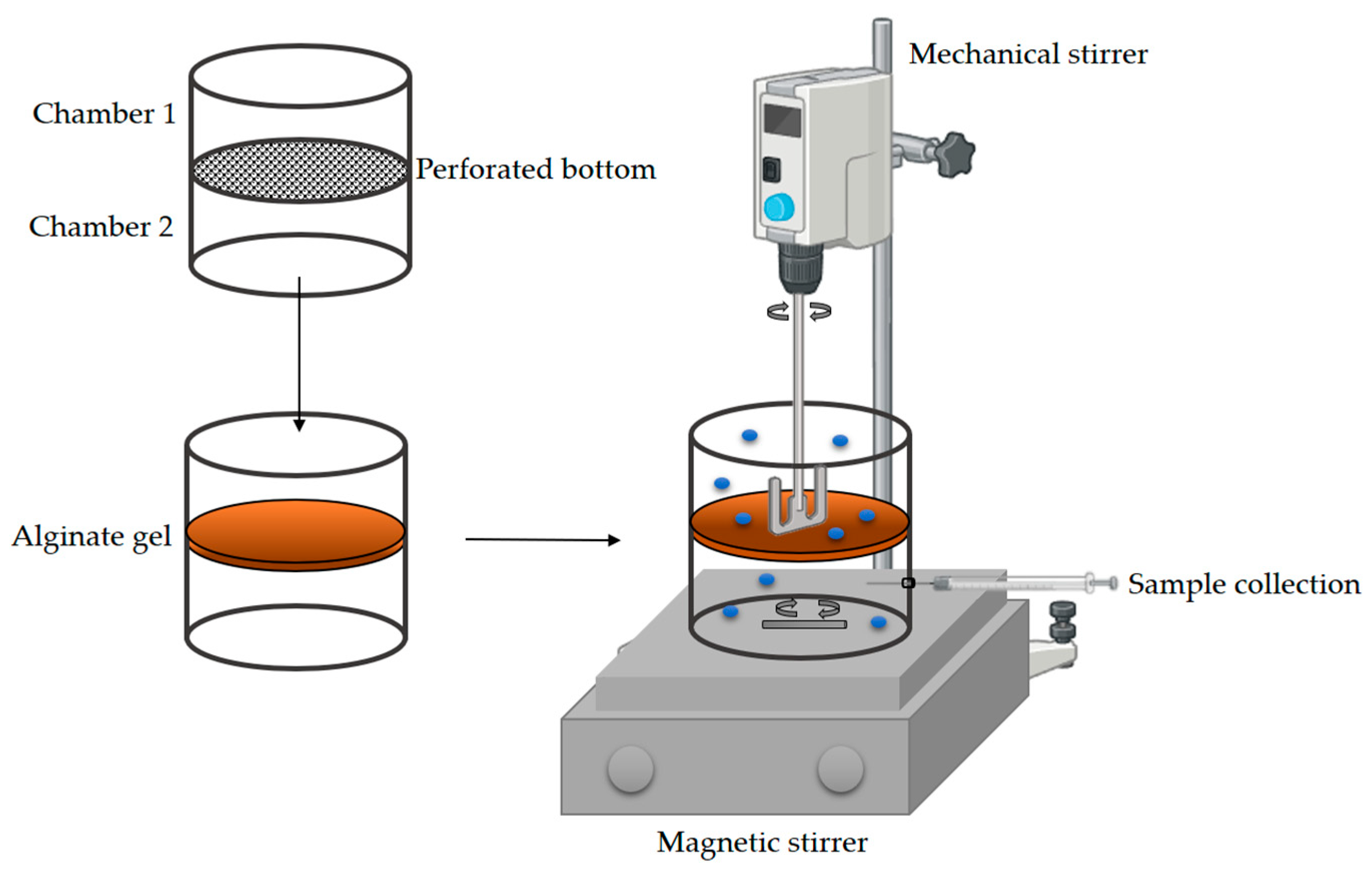 Micromachines 15 01514 g004