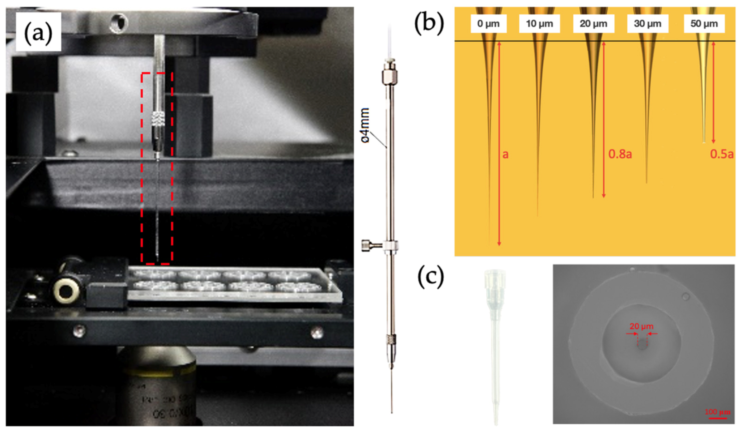 Micromachines 15 01515 g001