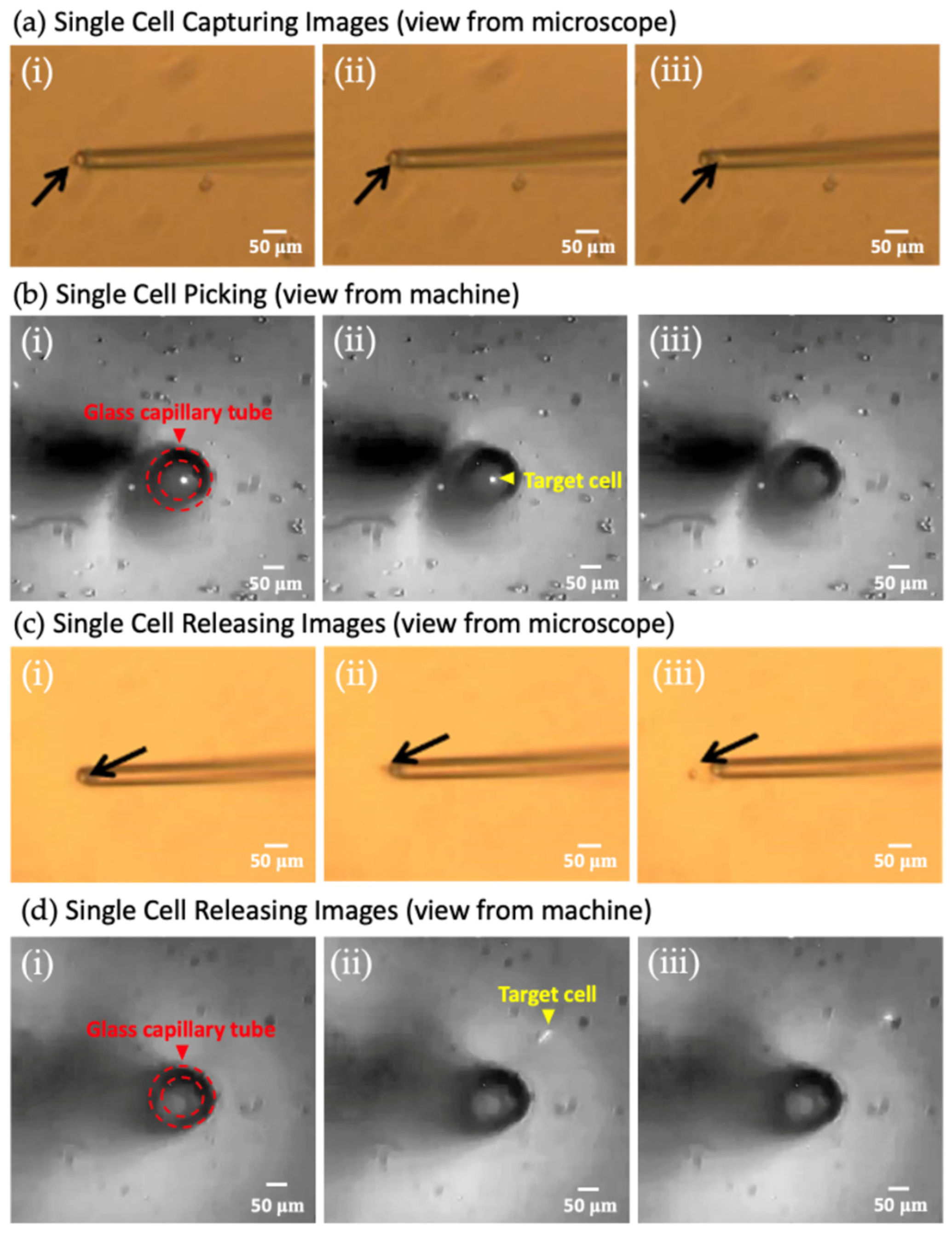 Micromachines 15 01515 g002