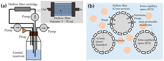 Hollow Fiber Microreactor Combined with Digital Twin to Optimize 