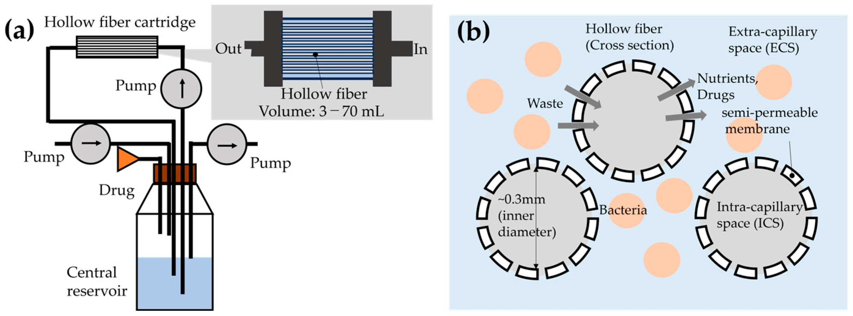 Micromachines 15 01517 g001