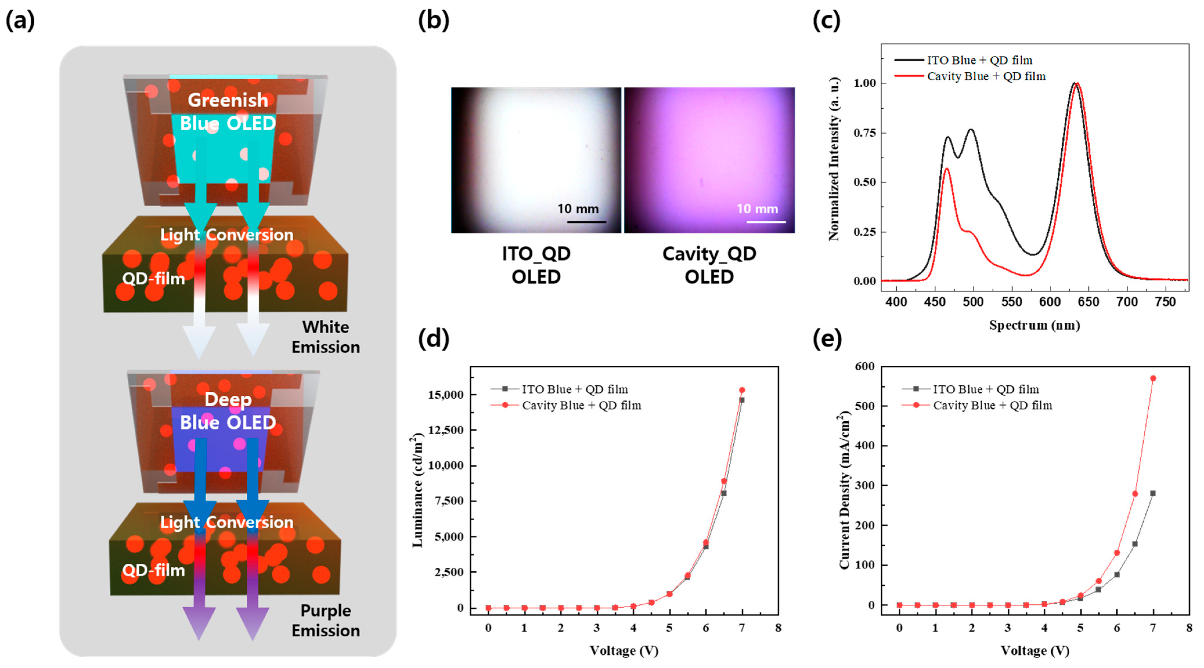 Micromachines 15 01518 g003
