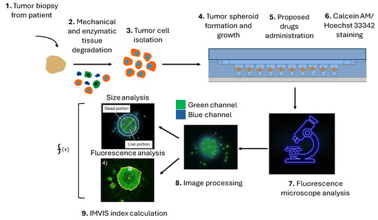 A Novel Microfluidic Platform for Personalized Anticancer Drug ...