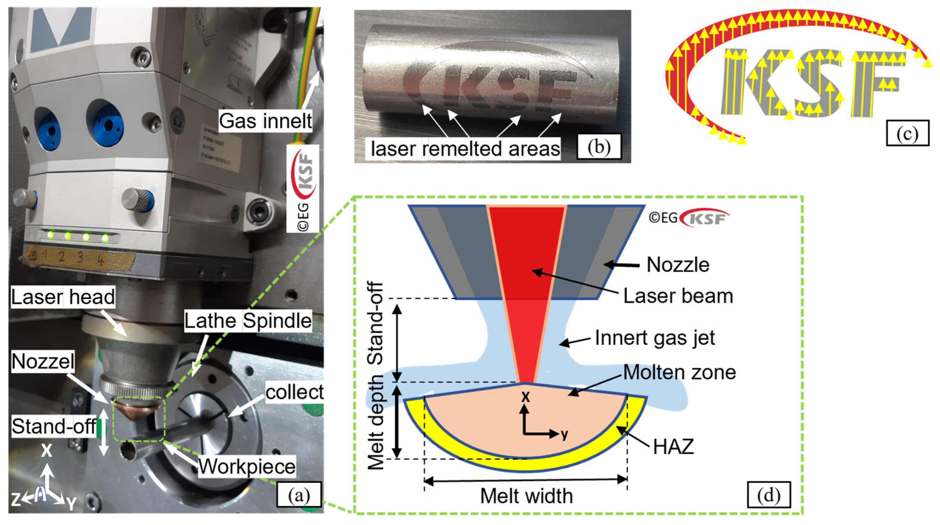 Micromachines 15 01526 g001