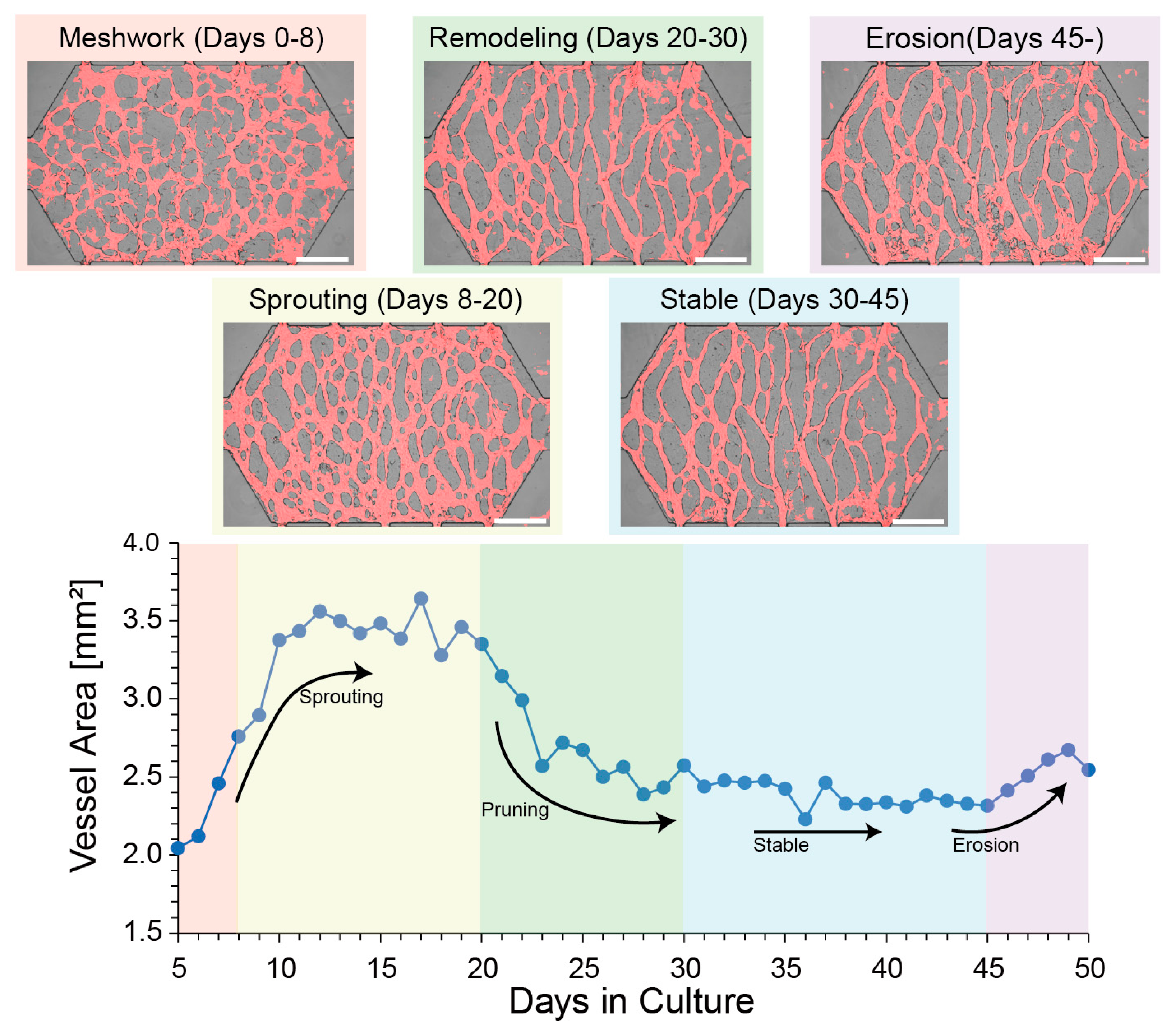 Micromachines 16 00014 g003
