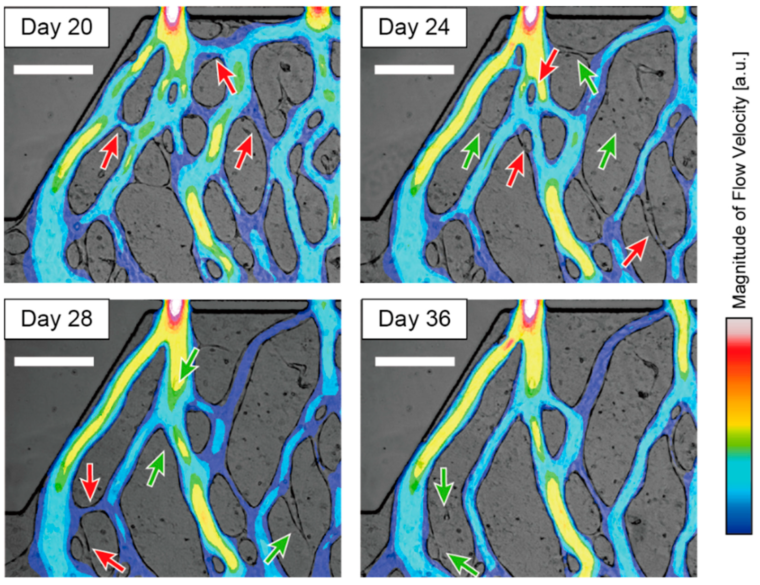 Micromachines 16 00014 g004