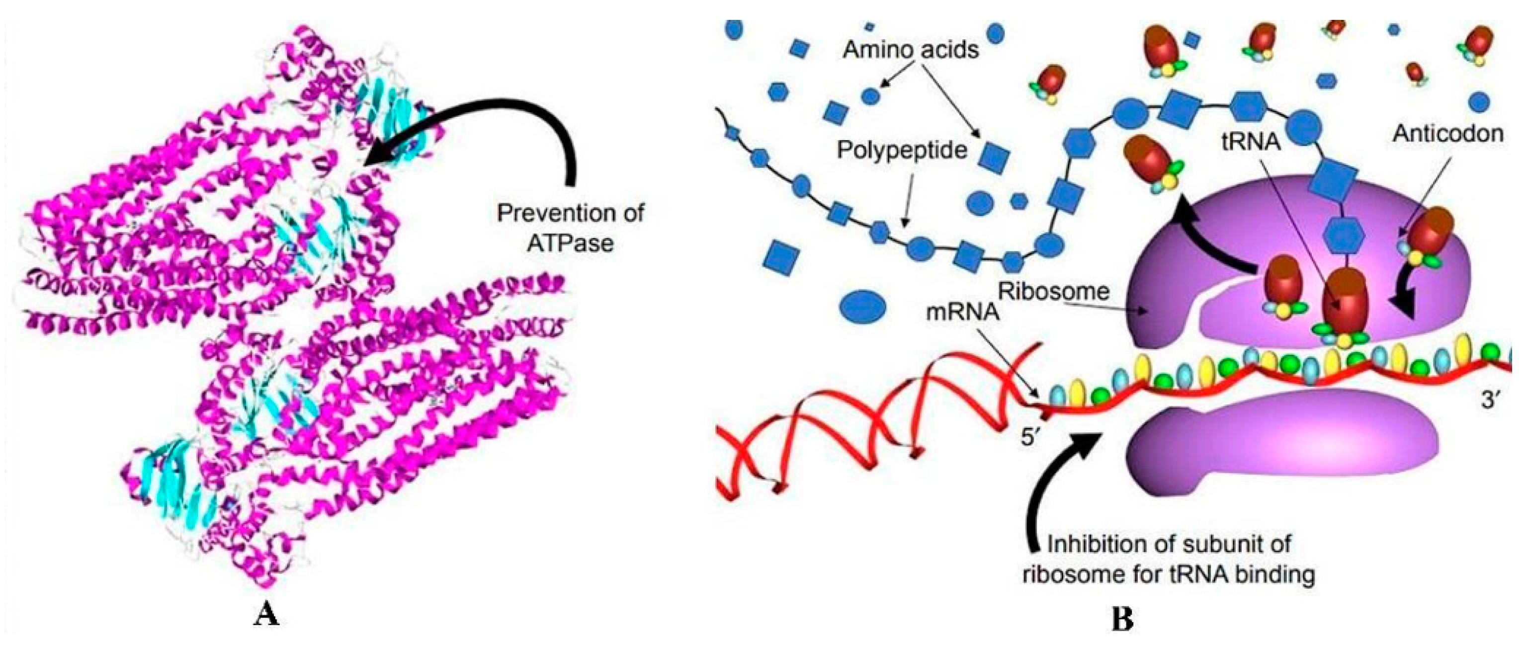 Micromachines 16 00015 g002