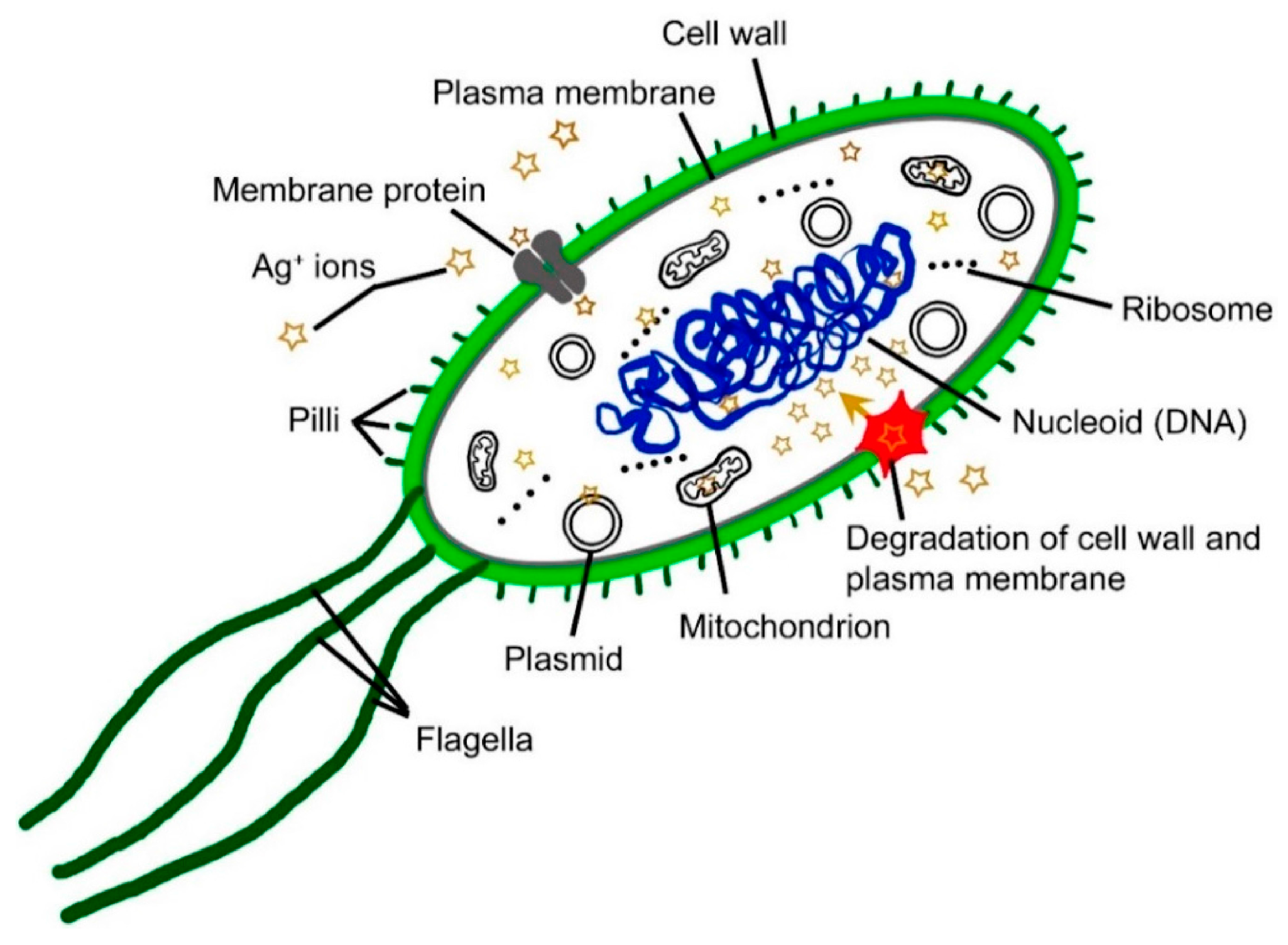 Micromachines 16 00015 g003