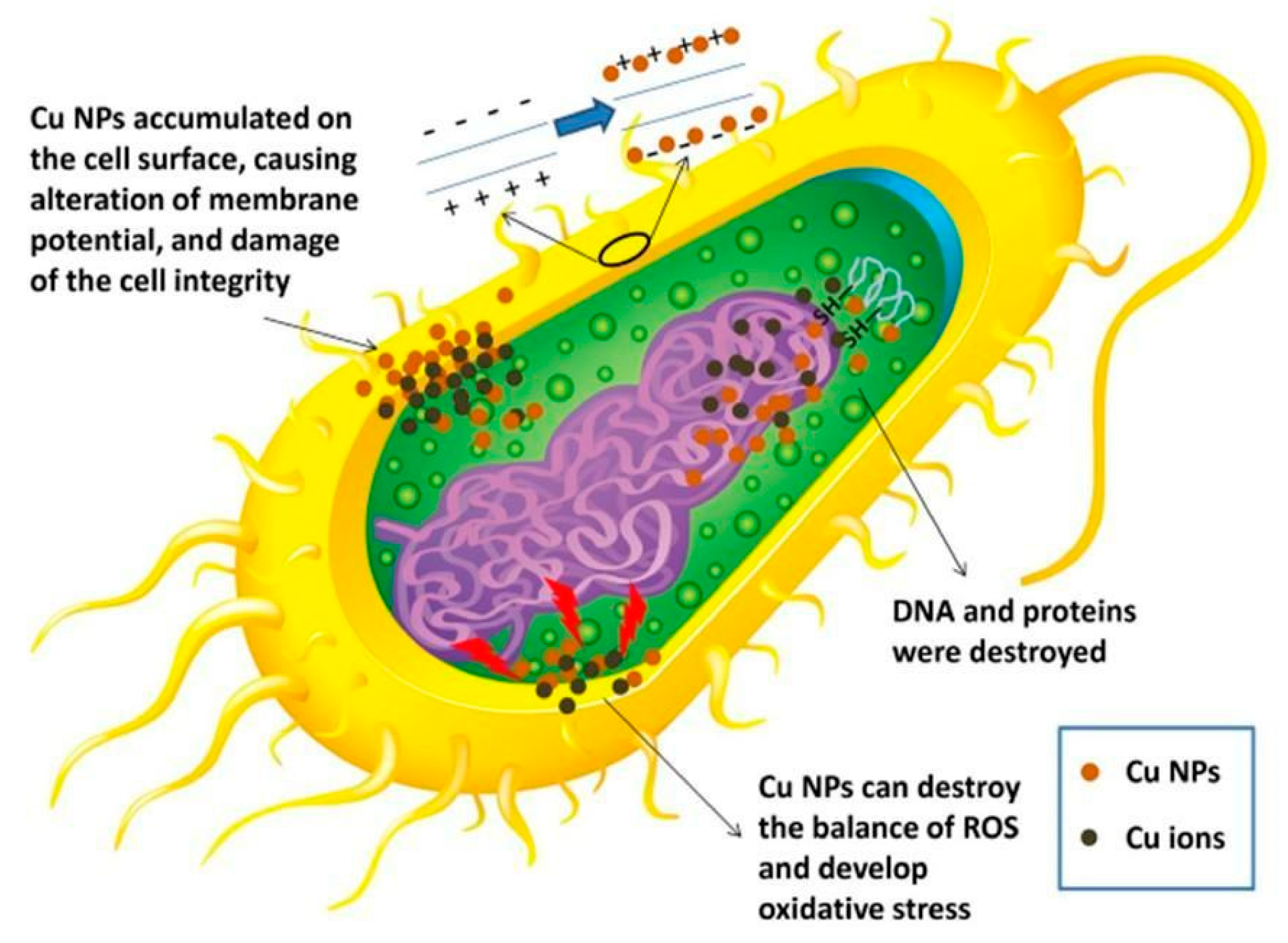 Micromachines 16 00015 g004
