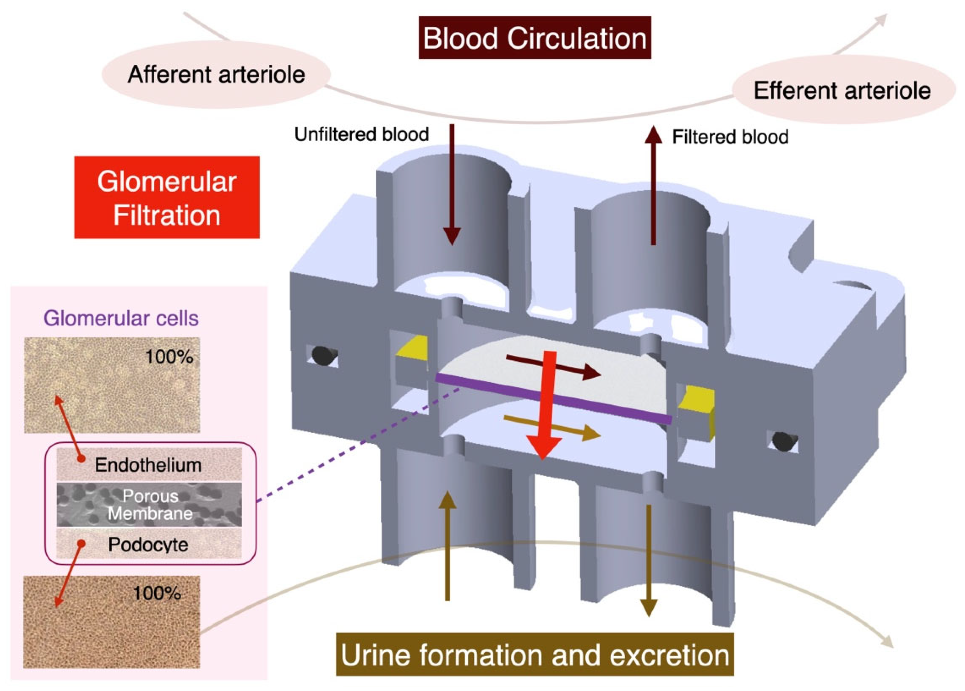 Micromachines 16 00046 g001