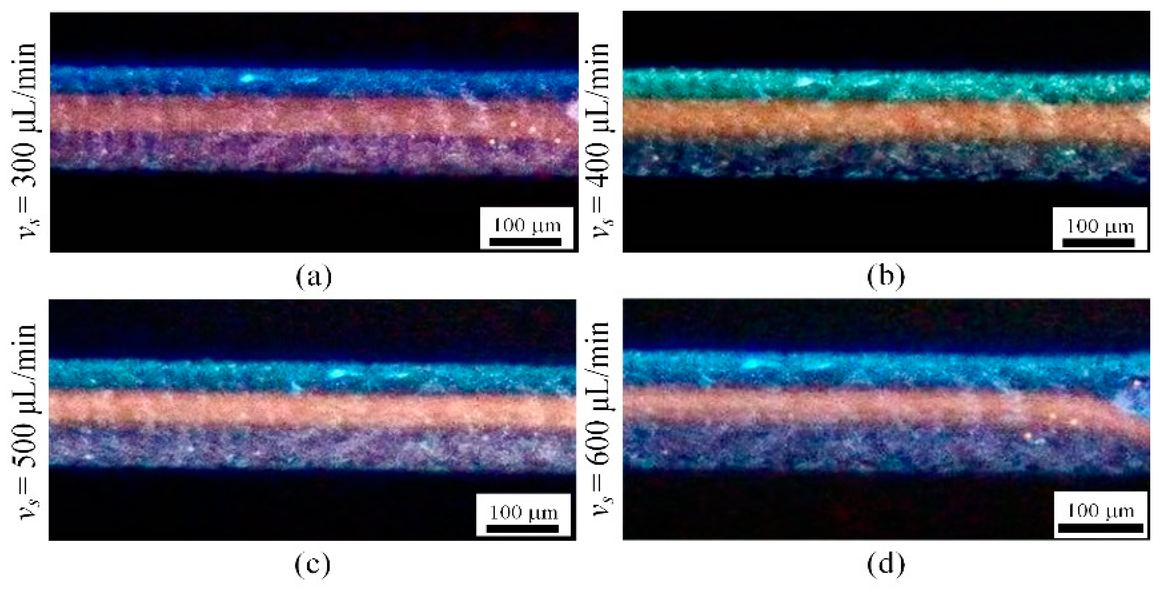 Micromachines 16 00066 g013