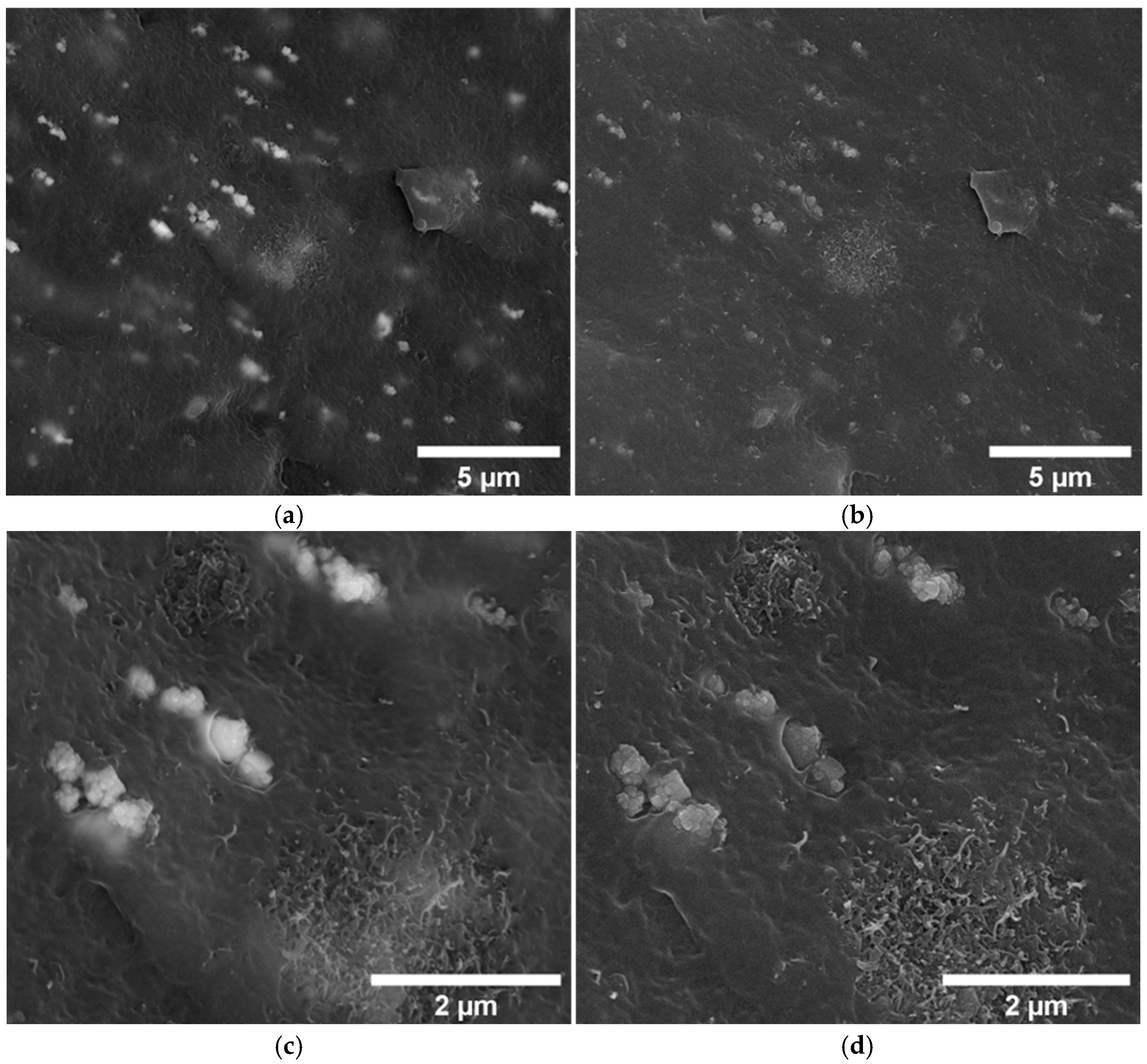 Micromachines 16 00068 g006