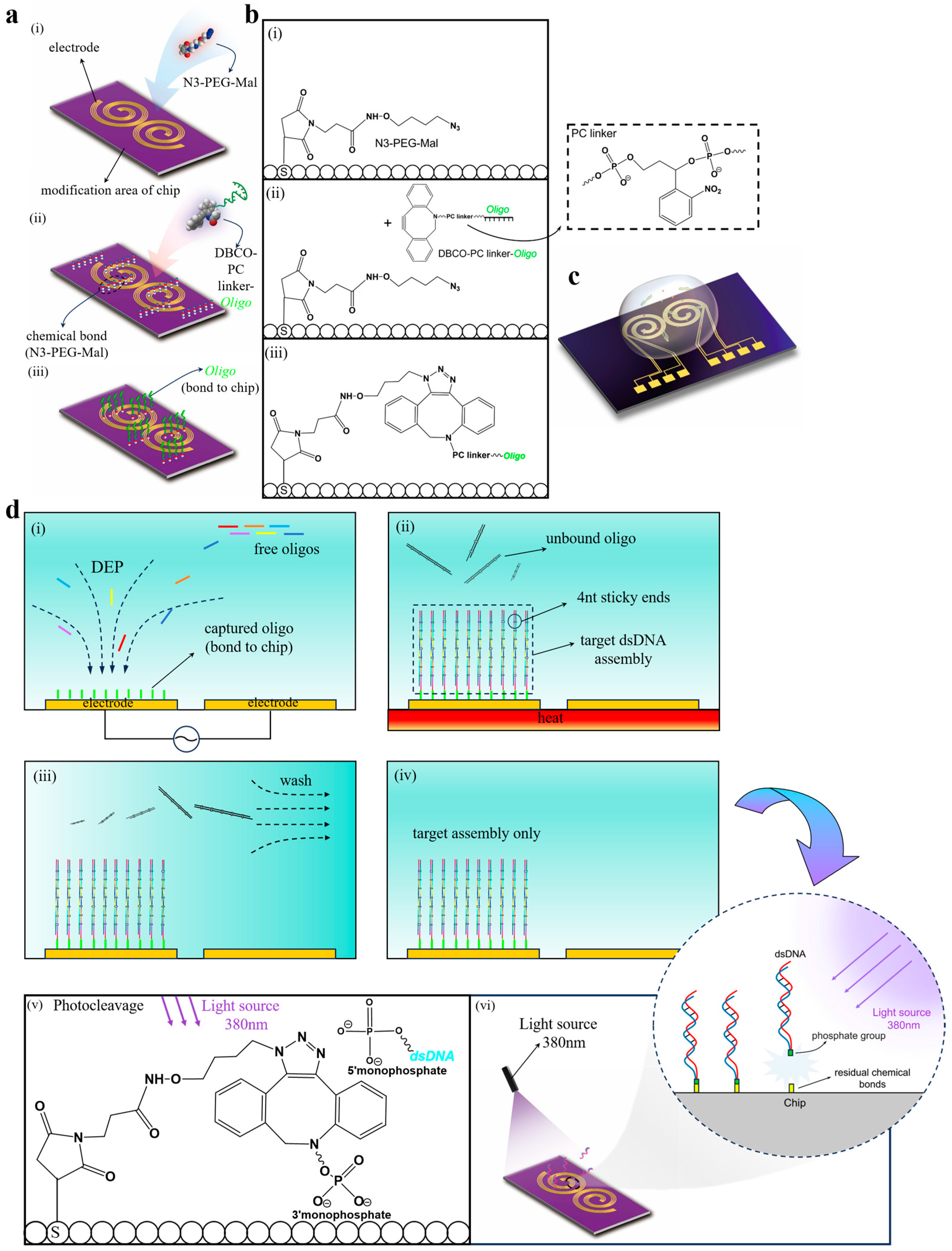 Micromachines 16 00076 g001