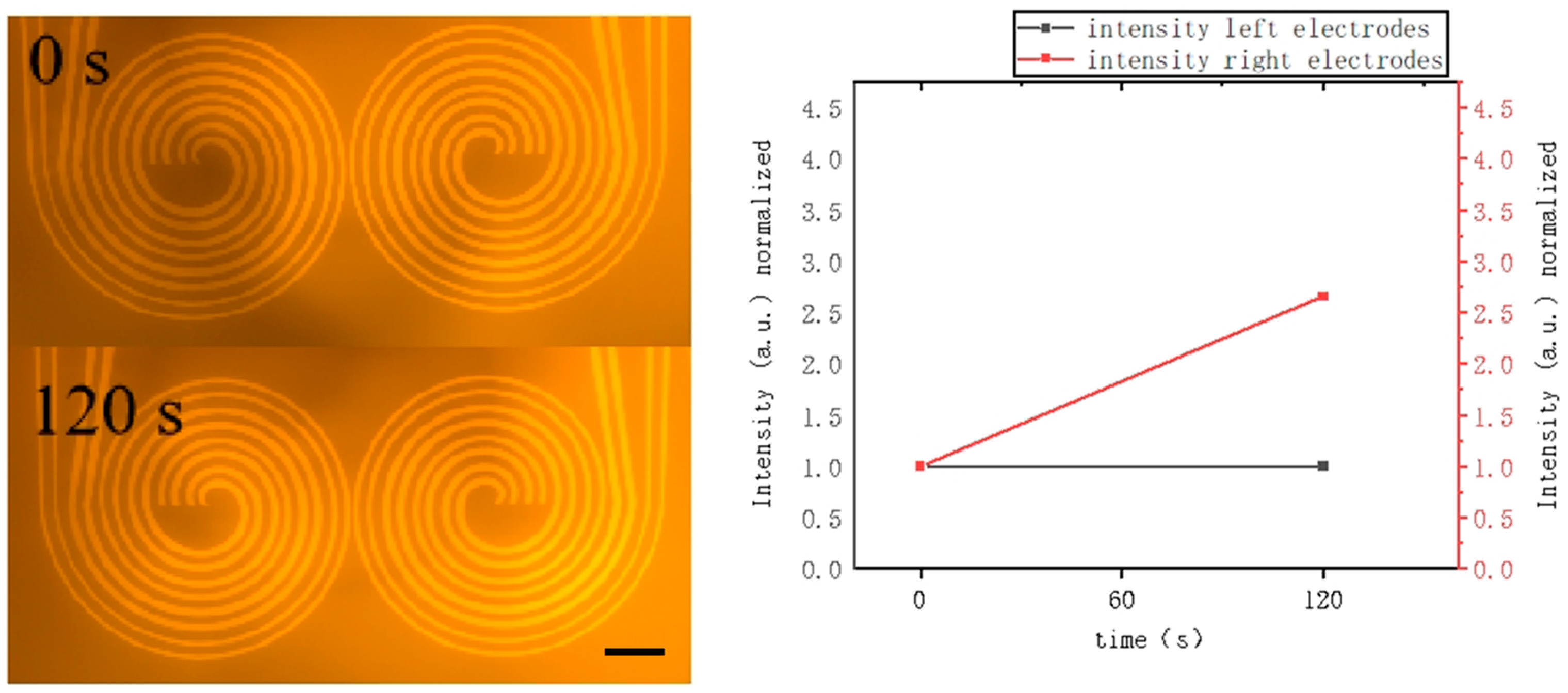 Micromachines 16 00076 g002