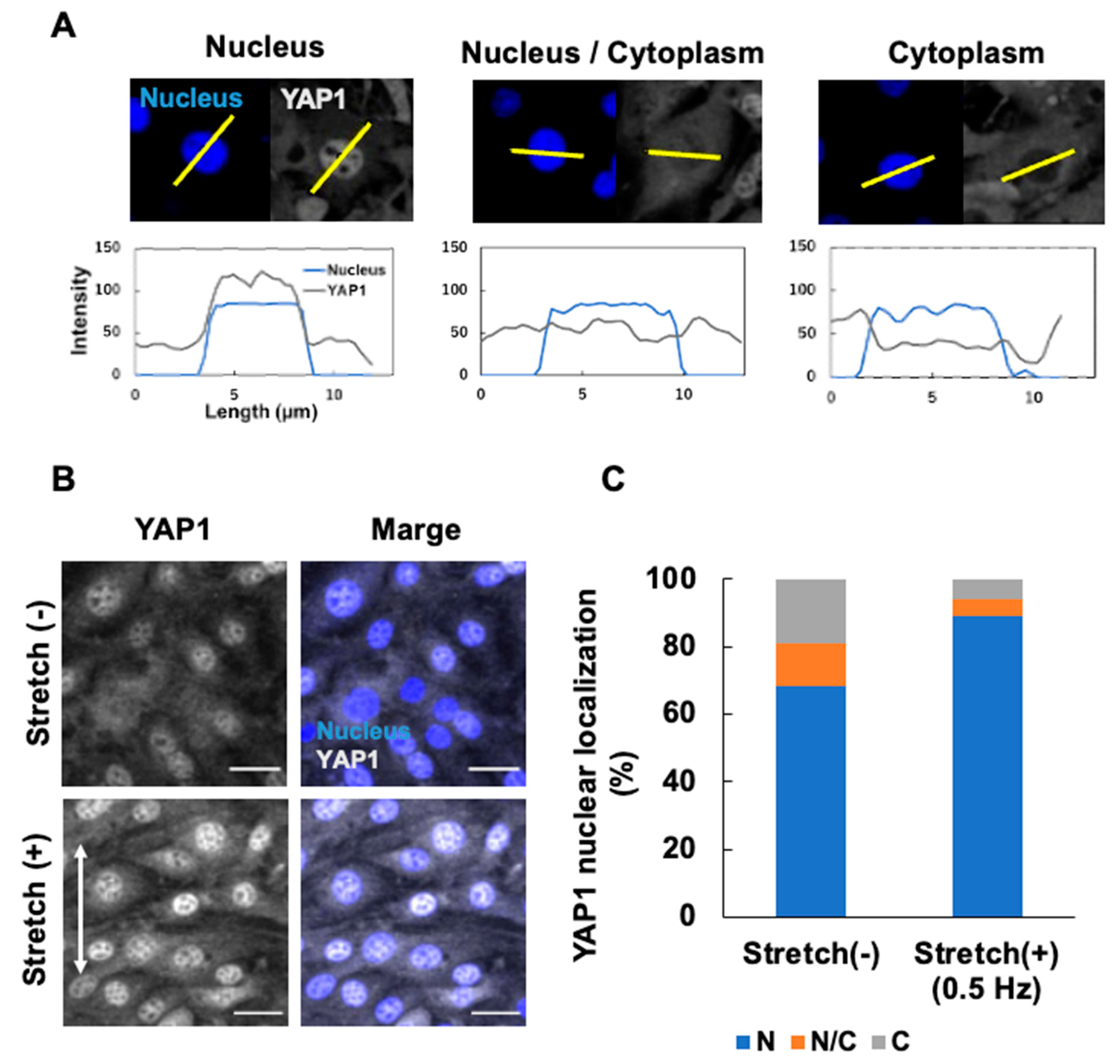 Micromachines 16 00093 g006
