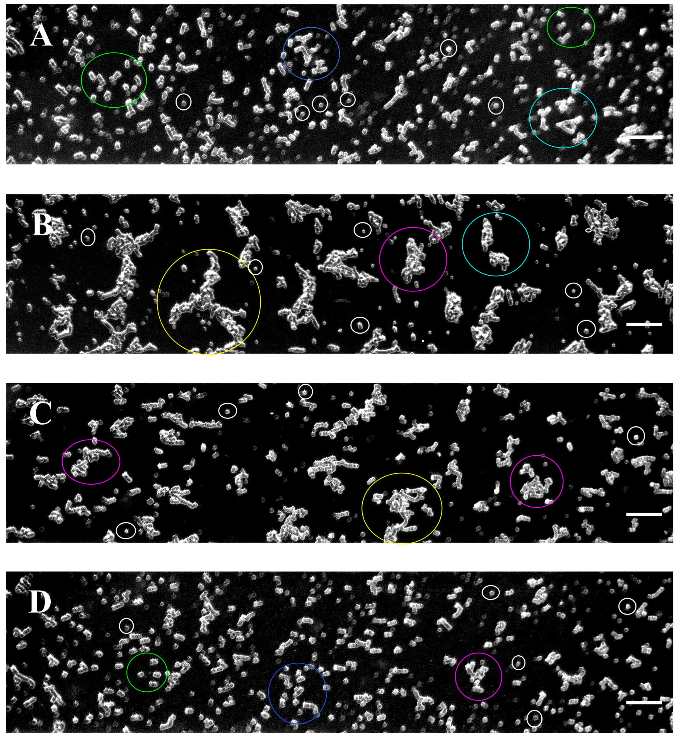 Micromachines 16 00095 g002