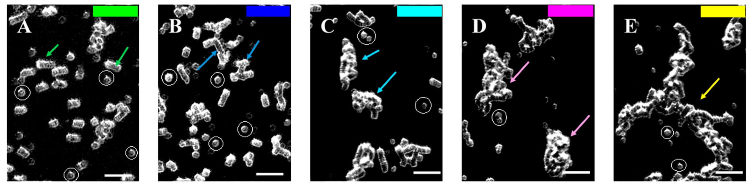 Micromachines 16 00095 g003