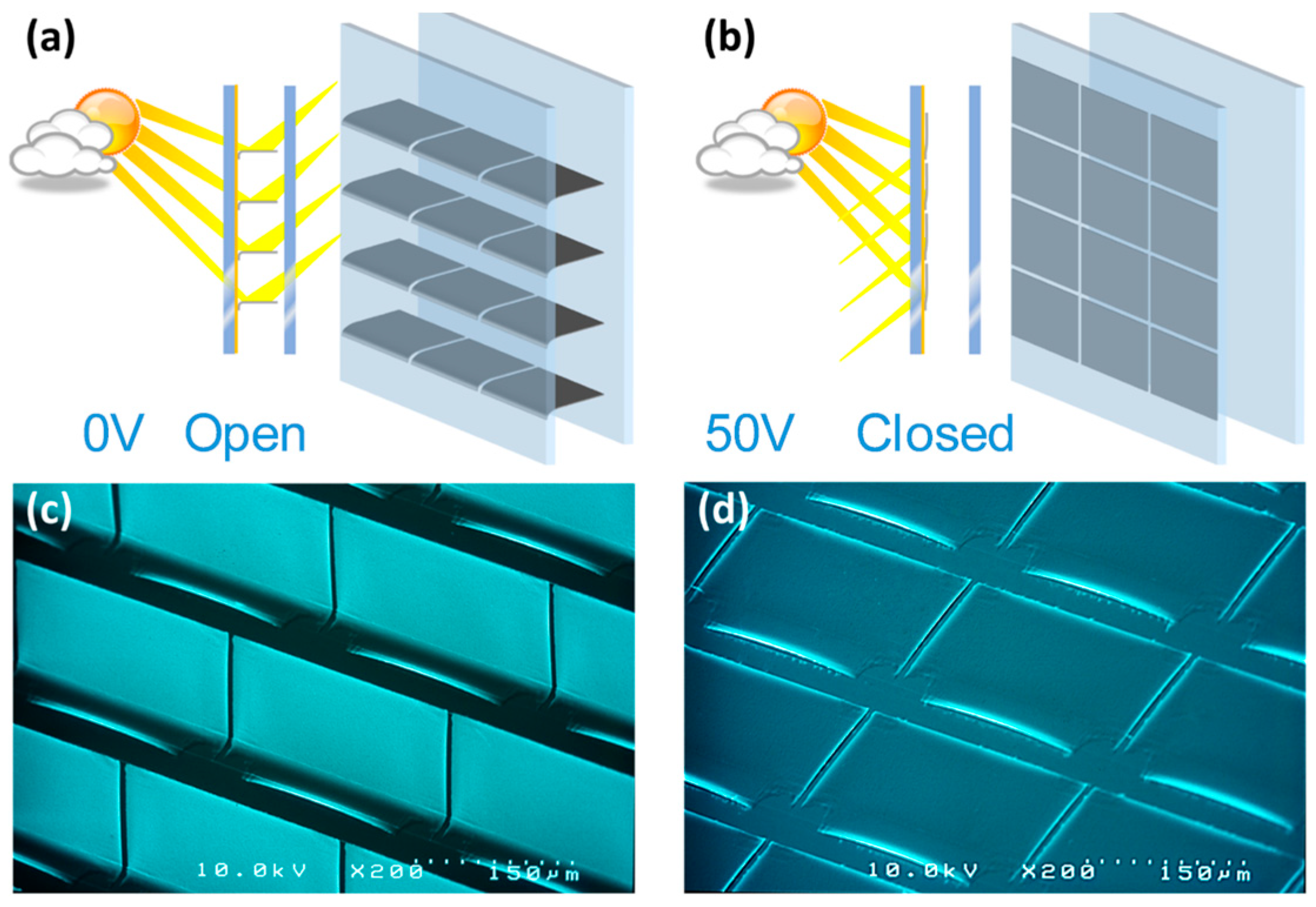 Micromachines 16 00103 g002
