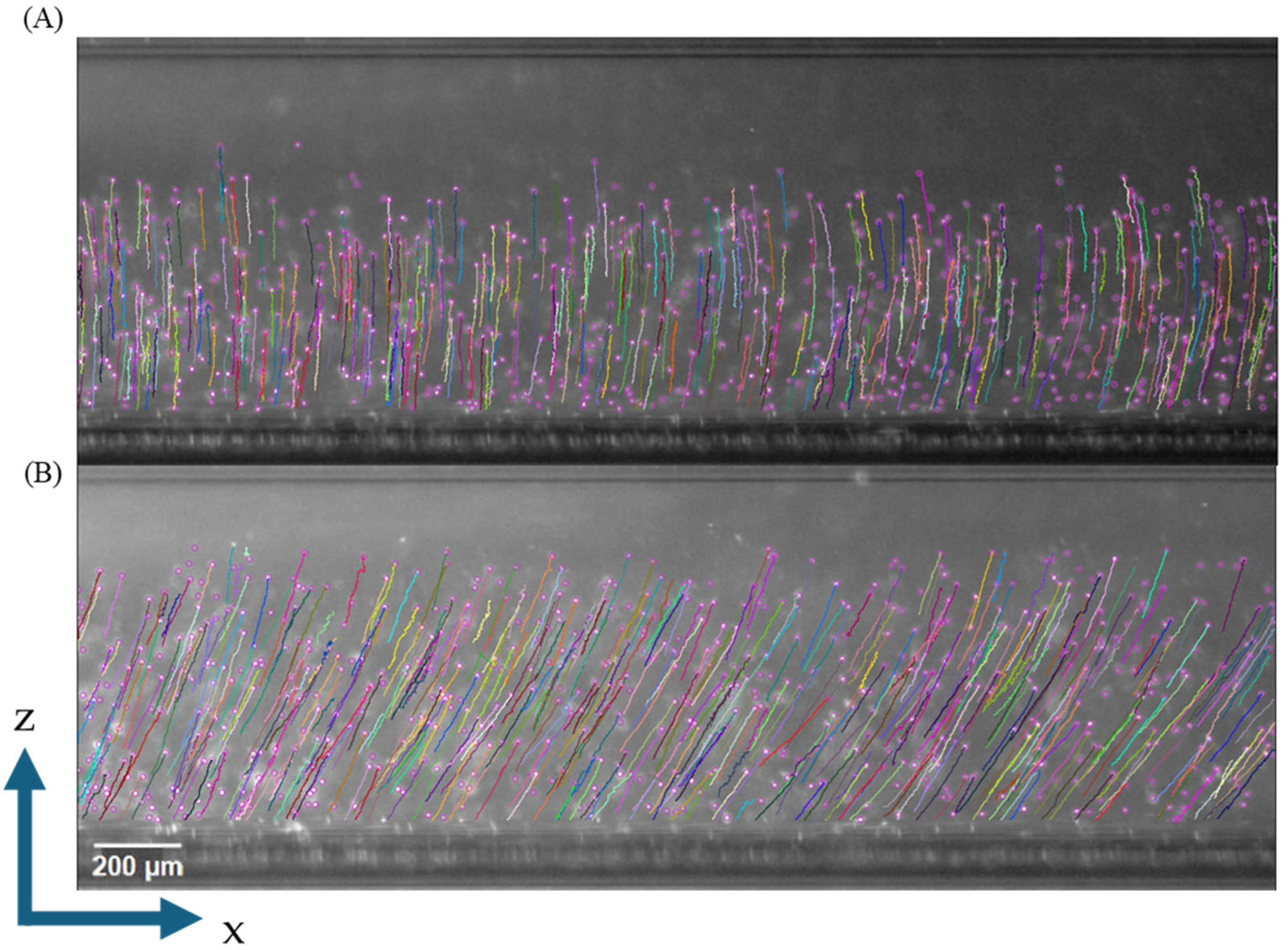 Micromachines 16 00126 g004 Micromachines 16 00126 g004