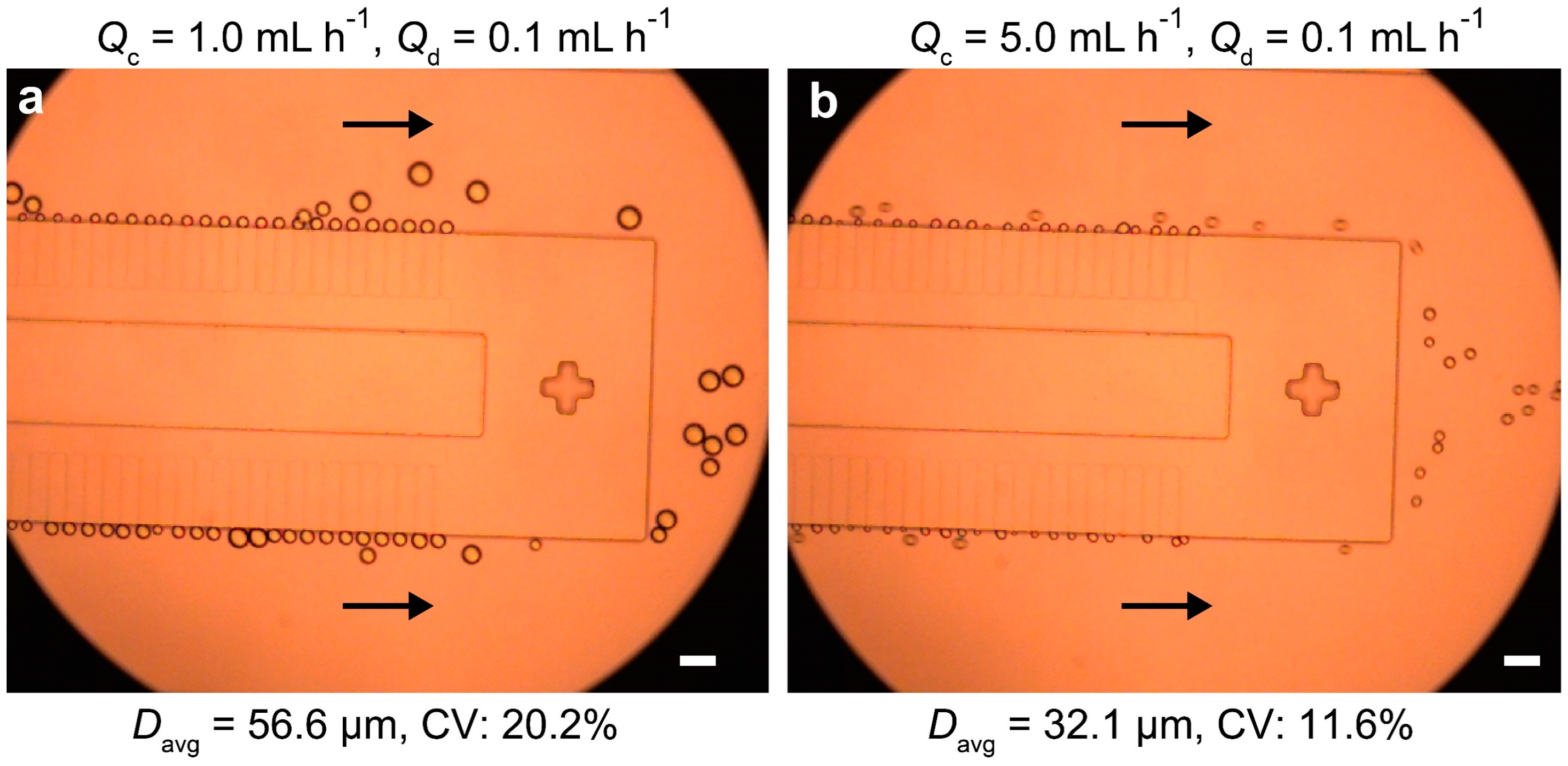 Micromachines 16 00132 g003